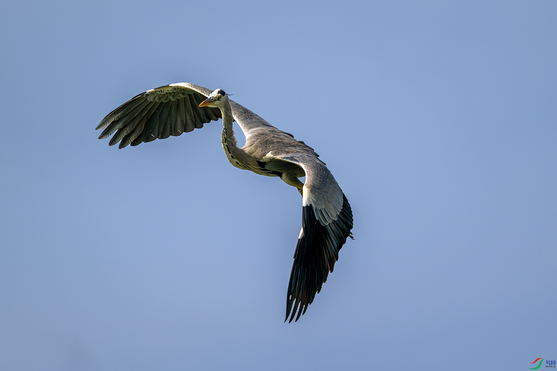 _DSC9717bb22.jpg