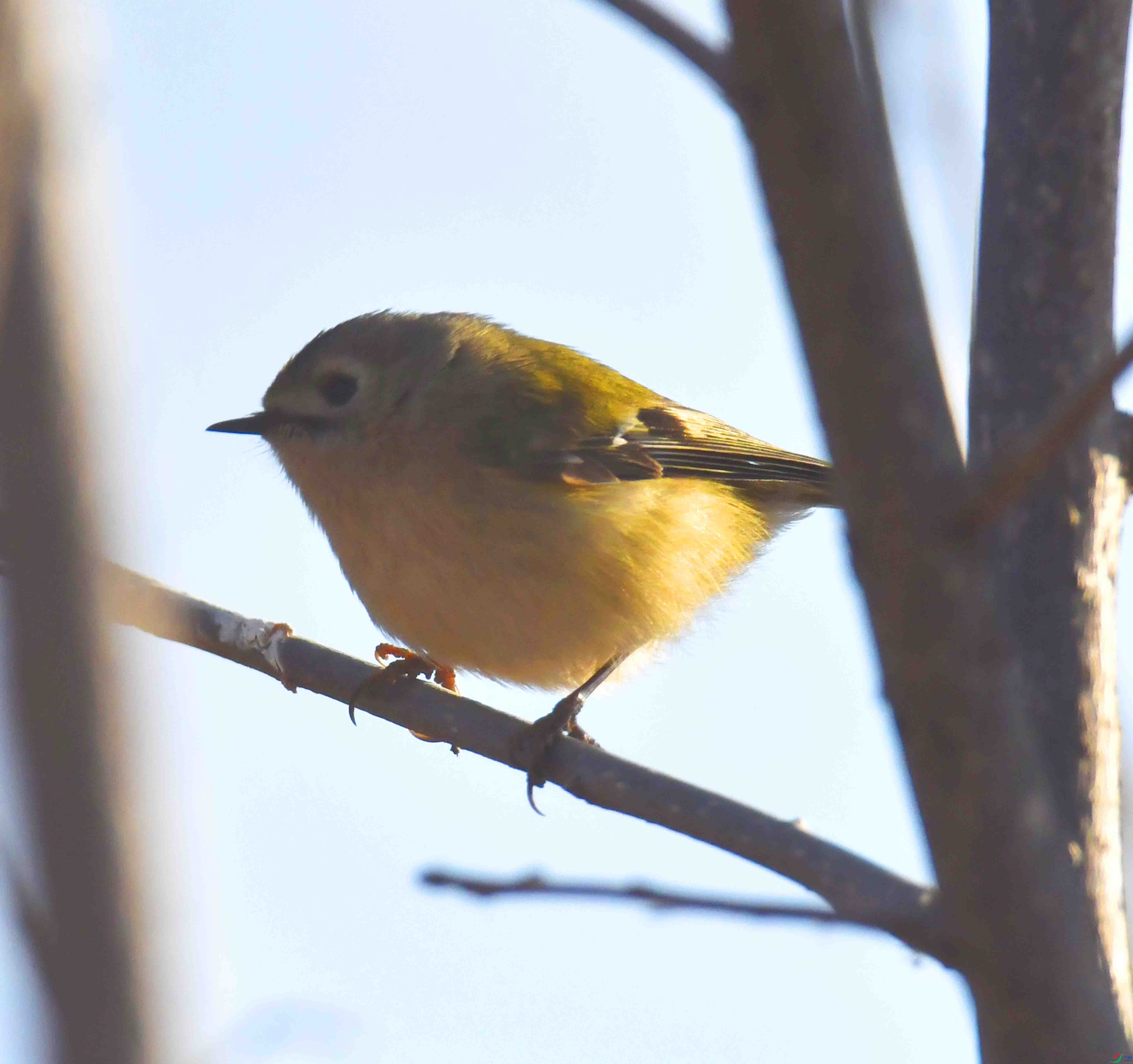 DSC_0111.JPG