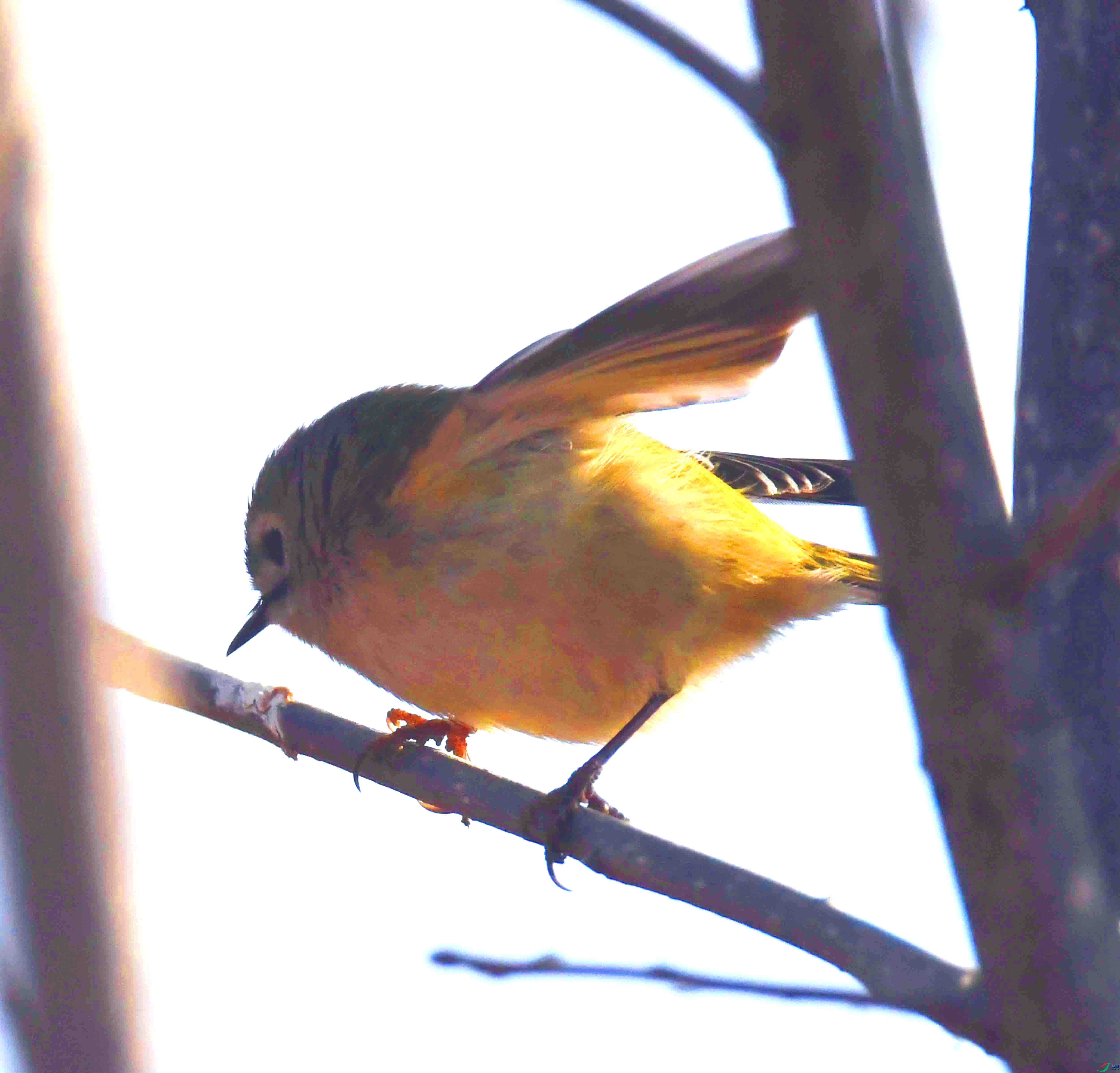 DSC_0117.JPG