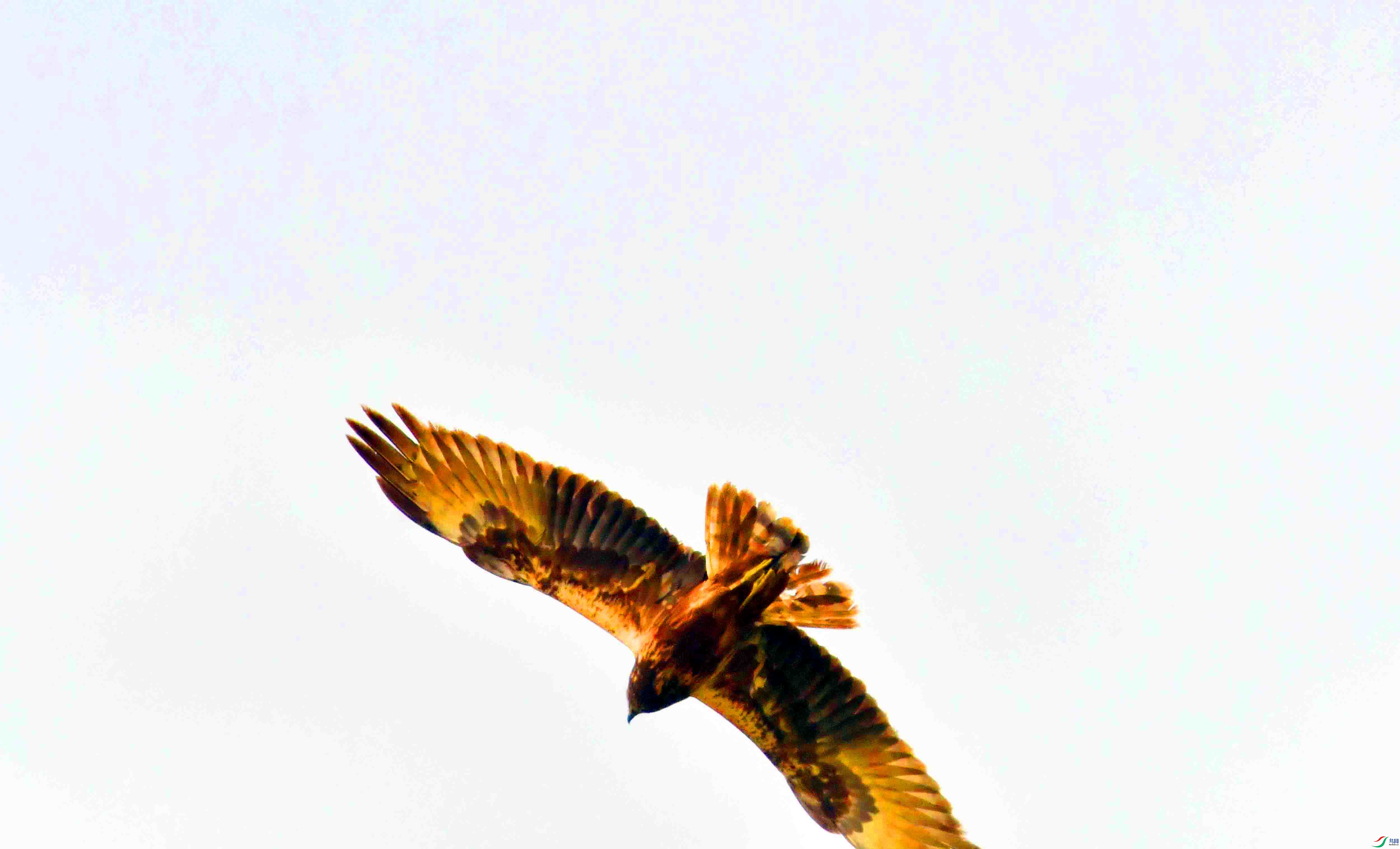 DSC_0032.JPG