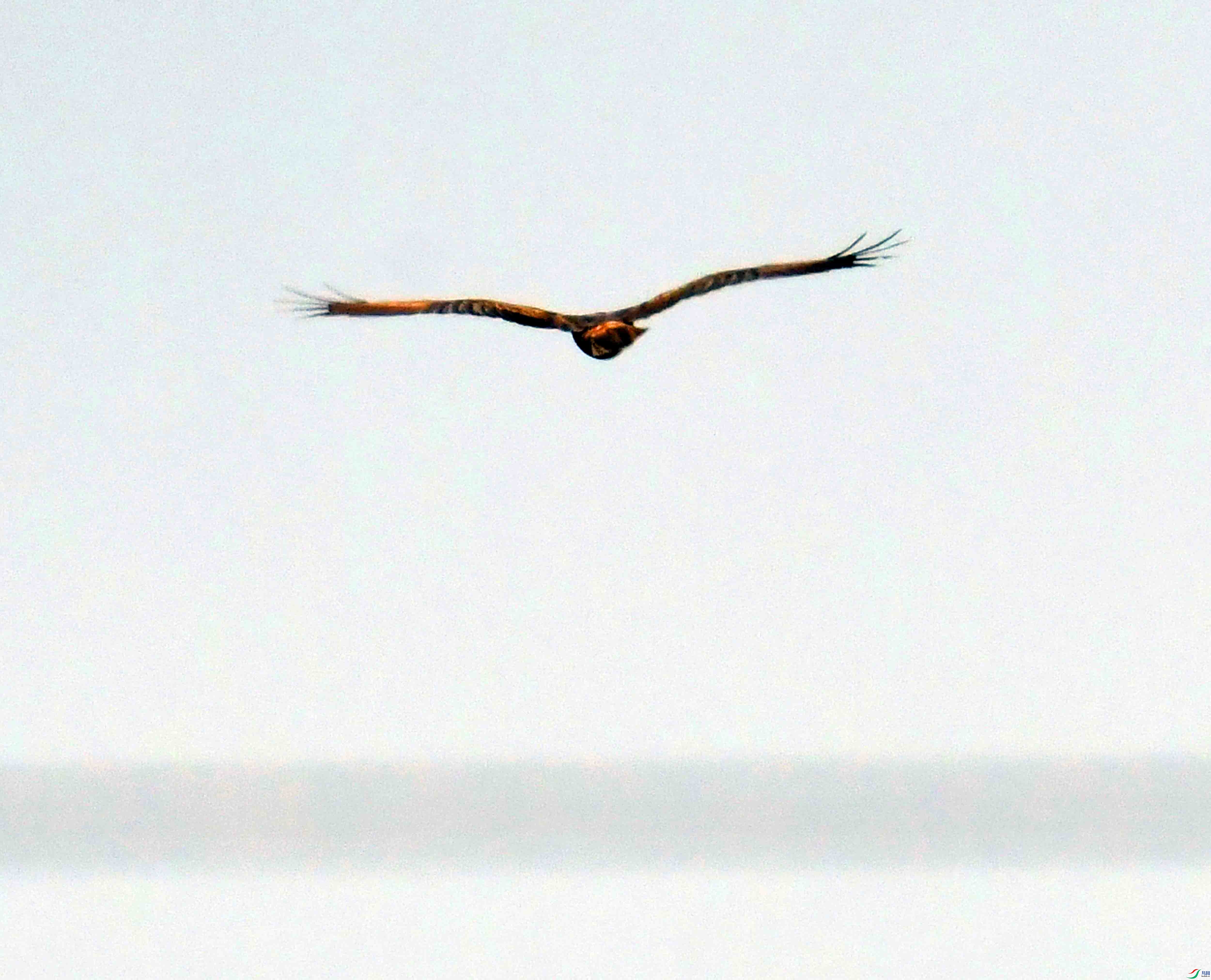 DSC_0413.JPG
