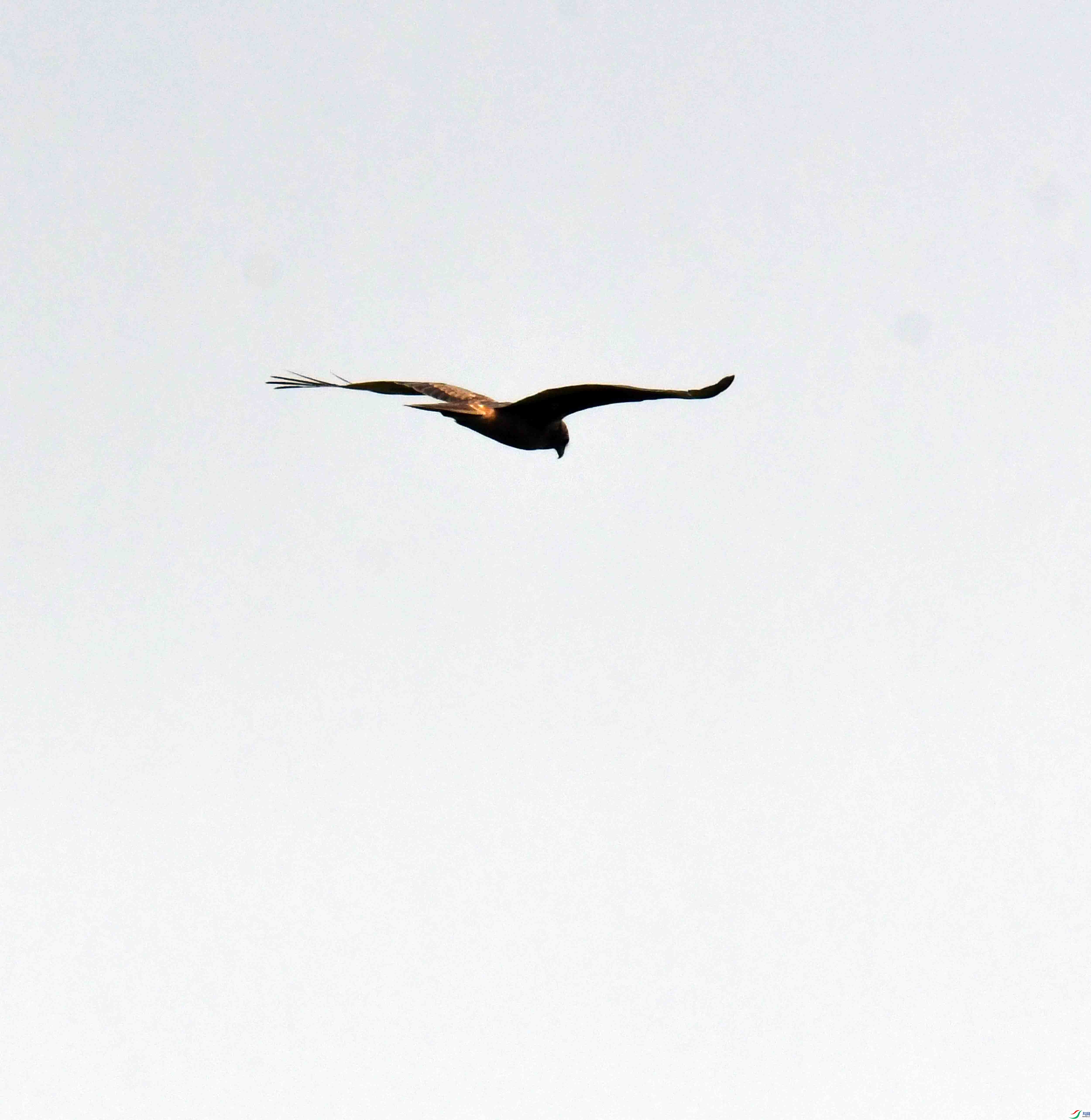 DSC_0399.JPG