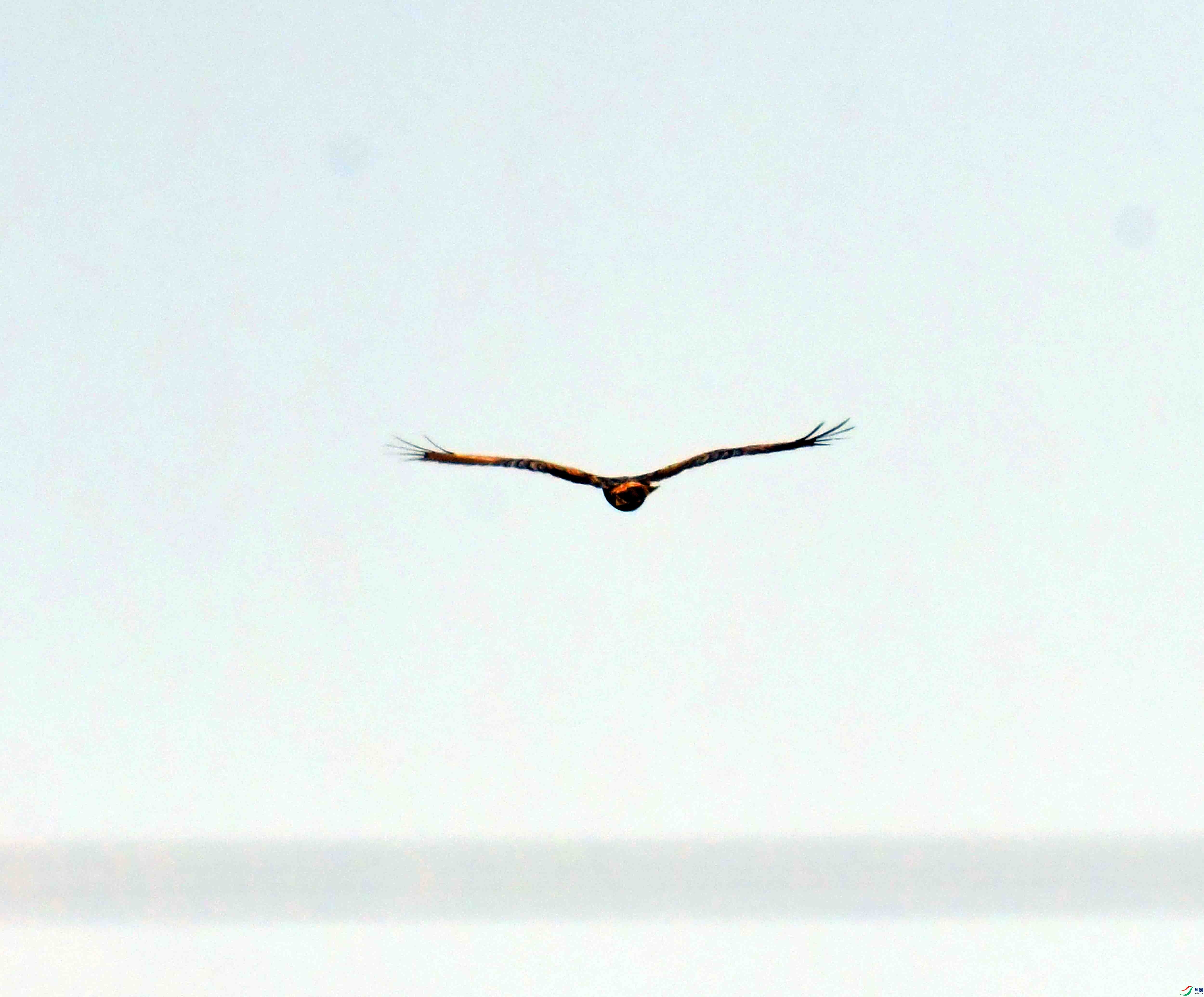 DSC_0414.JPG