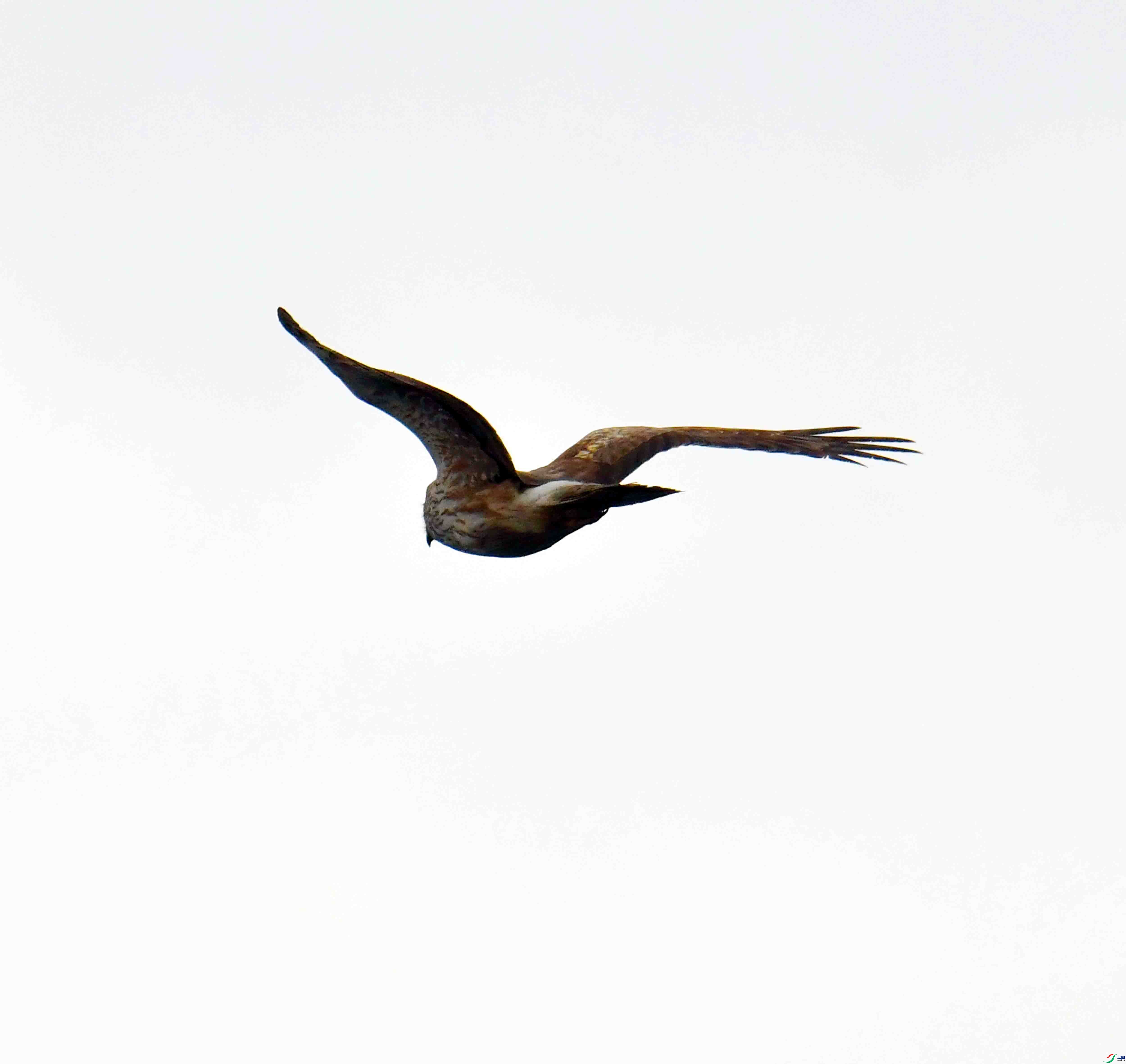DSC_1858.JPG