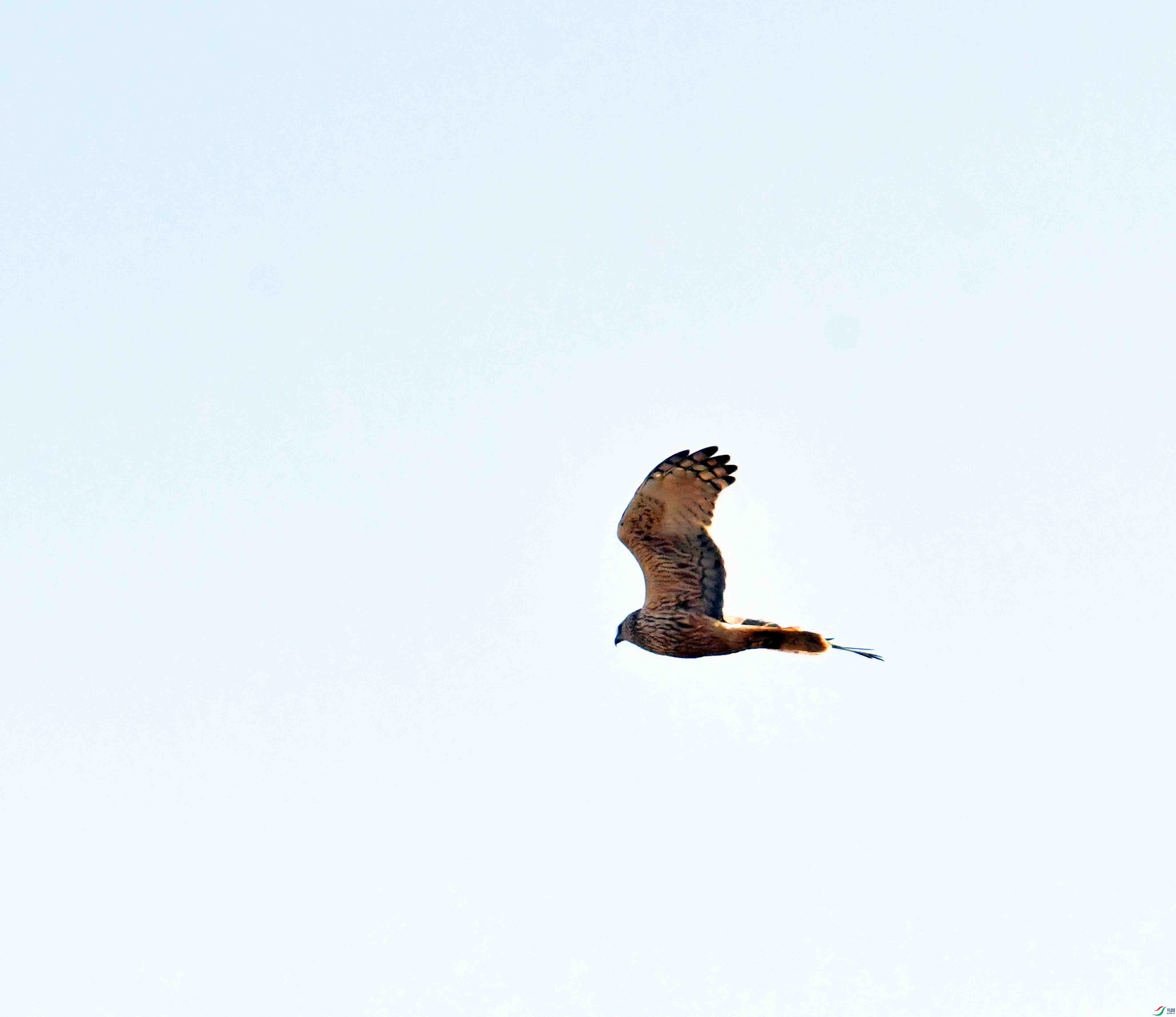 DSC_4182.JPG