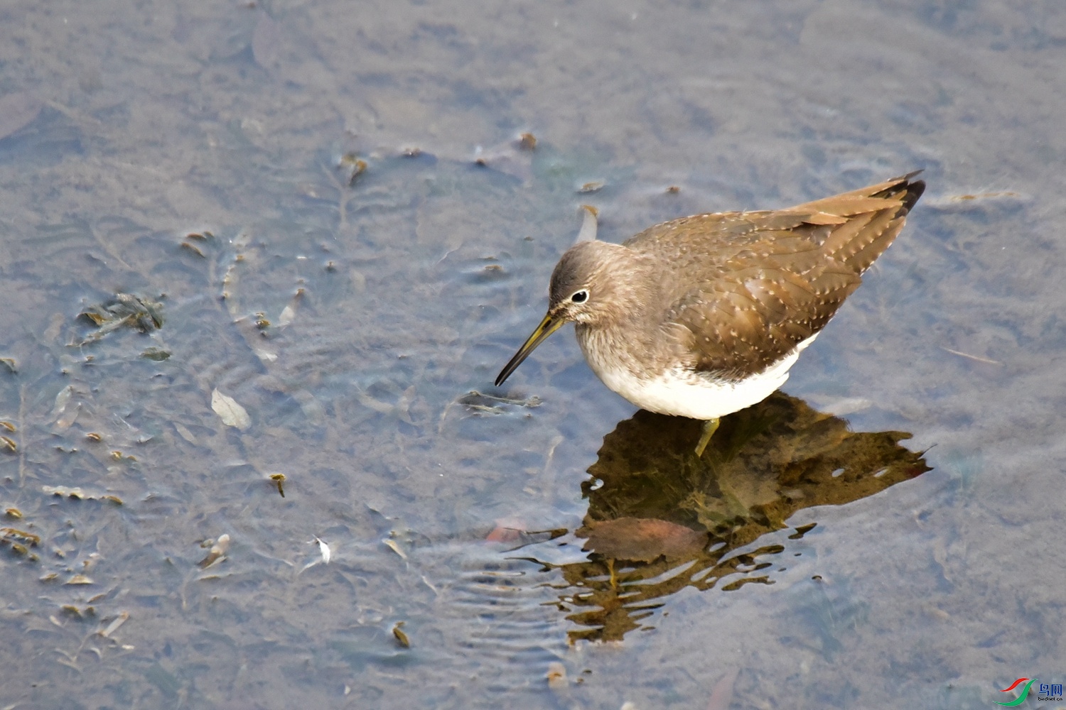 DSC_4361.JPG