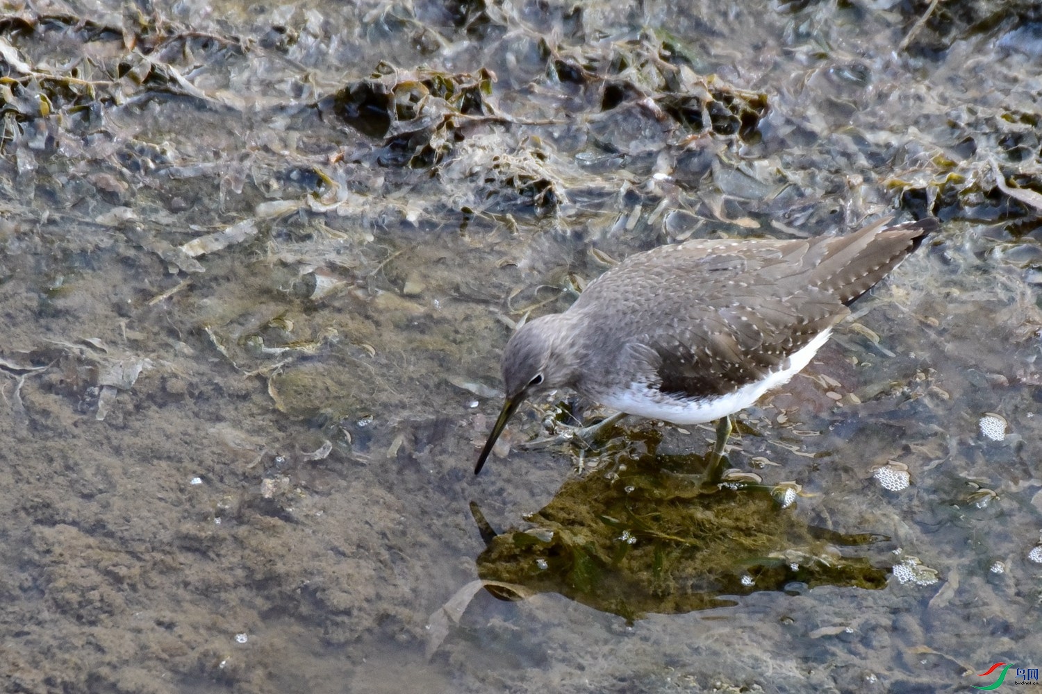 DSC_4403.JPG