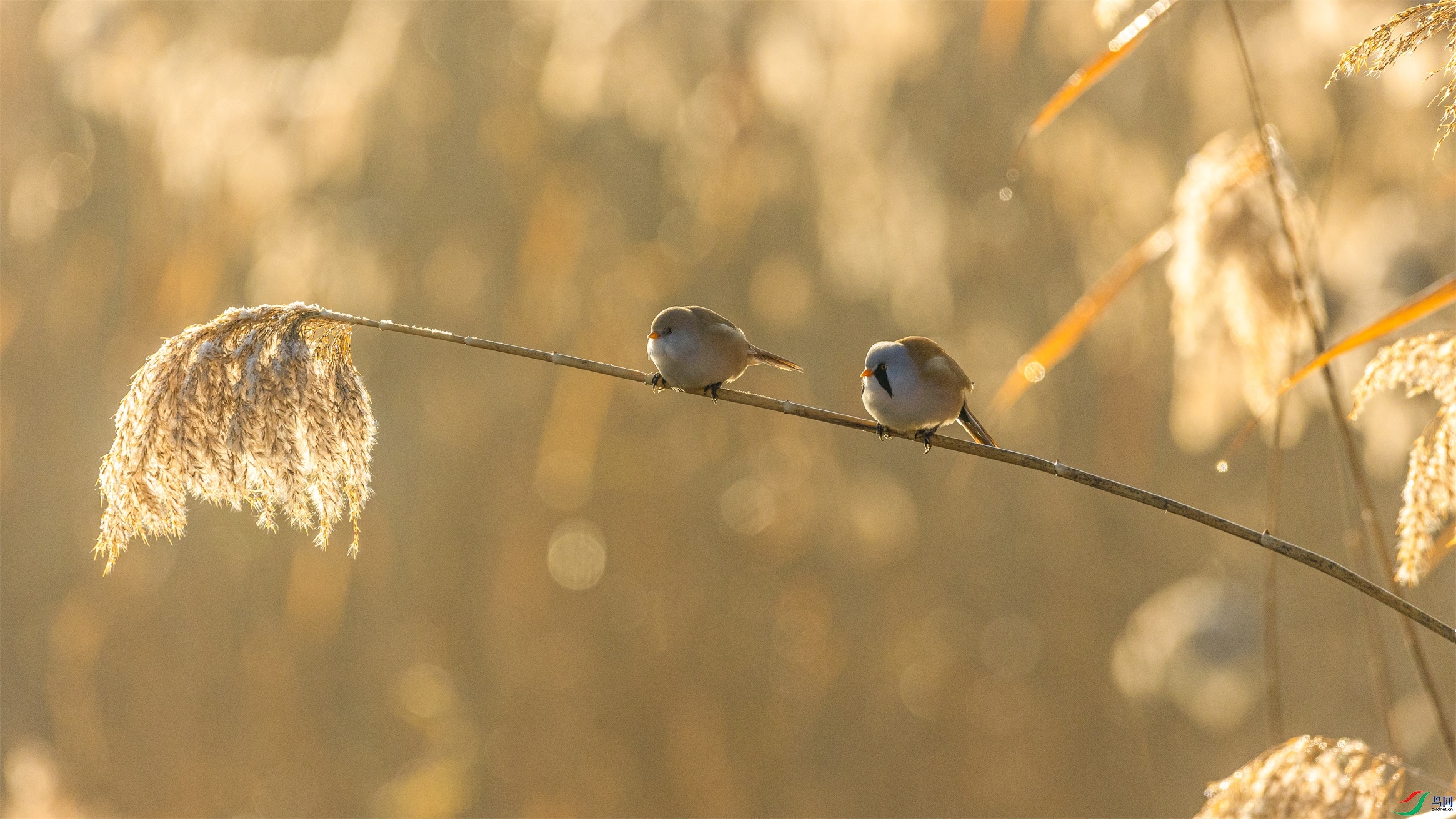 1K3A0224 ����1.jpg