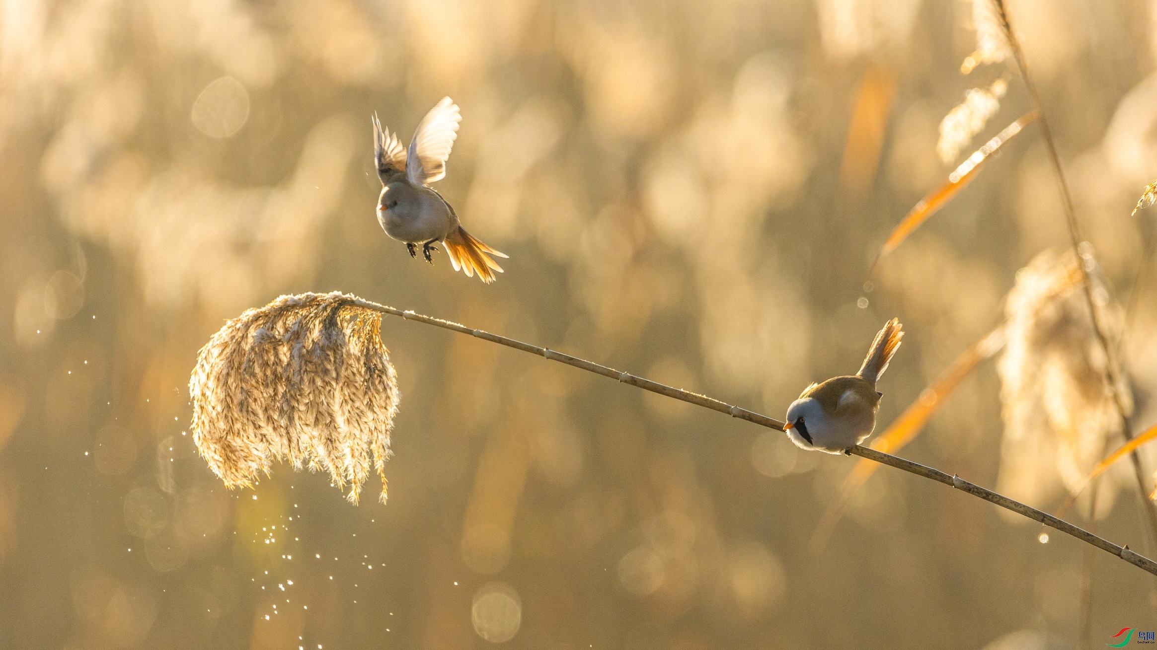 1K3A0228 ����1.jpg