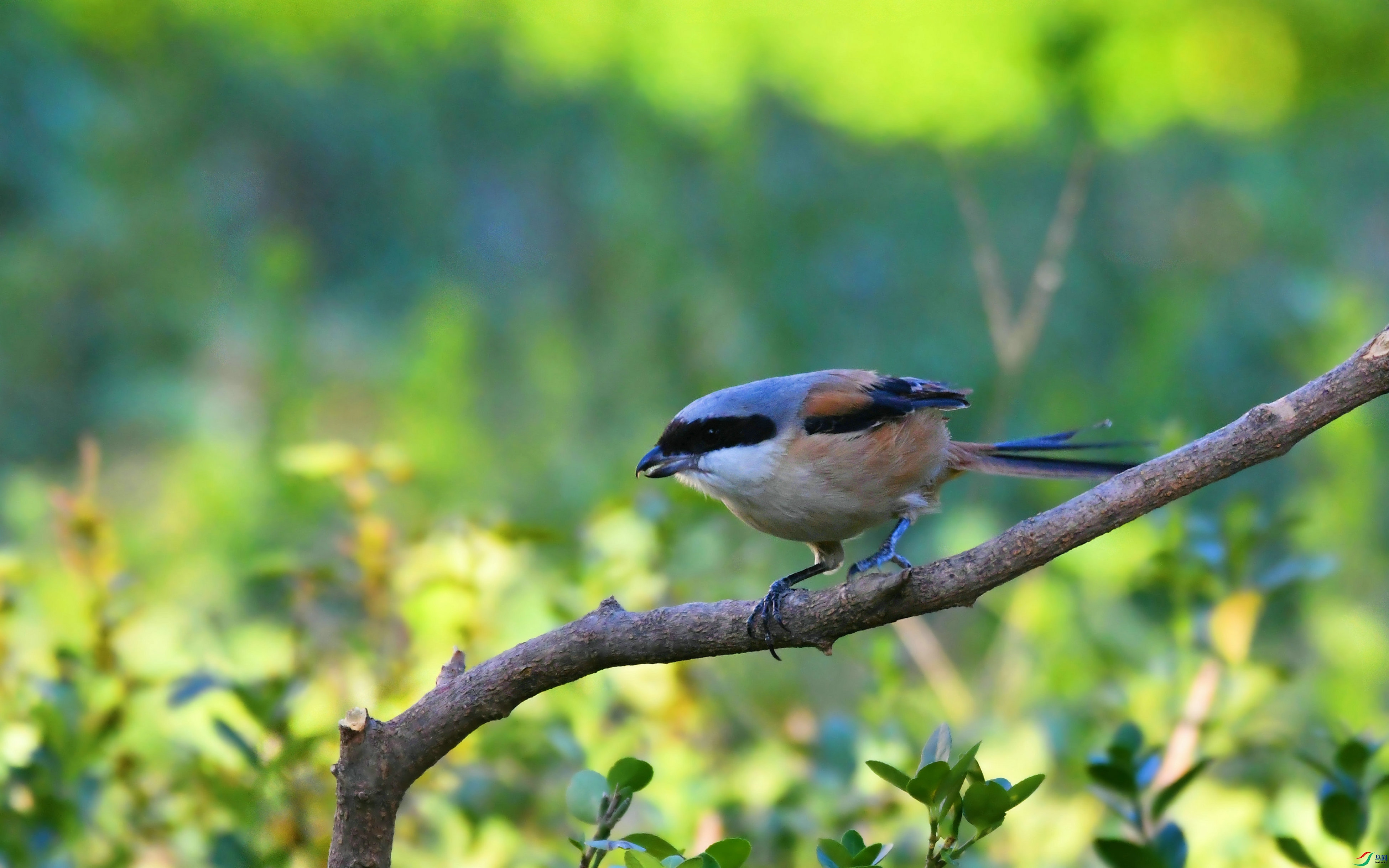 DSC_6204.JPG