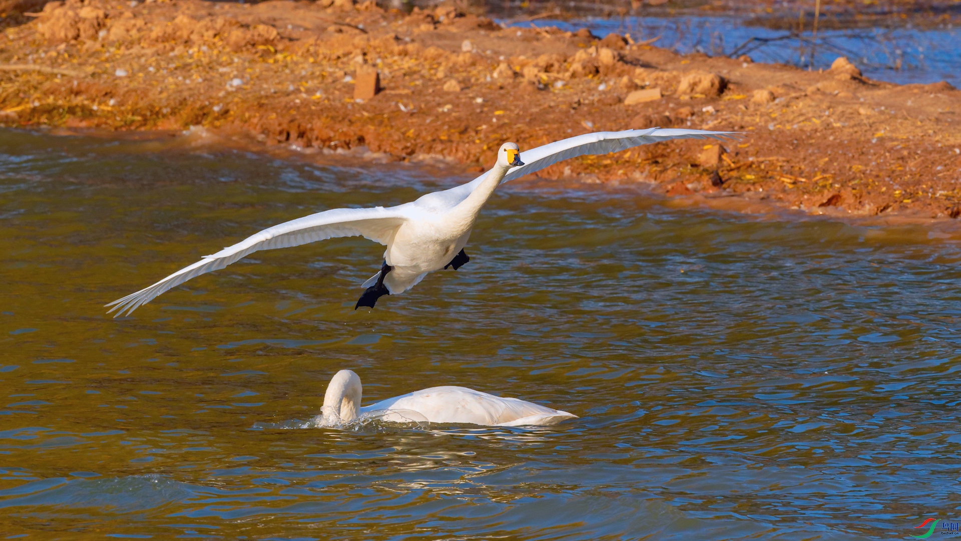 DSC_3459_DxOa.jpg