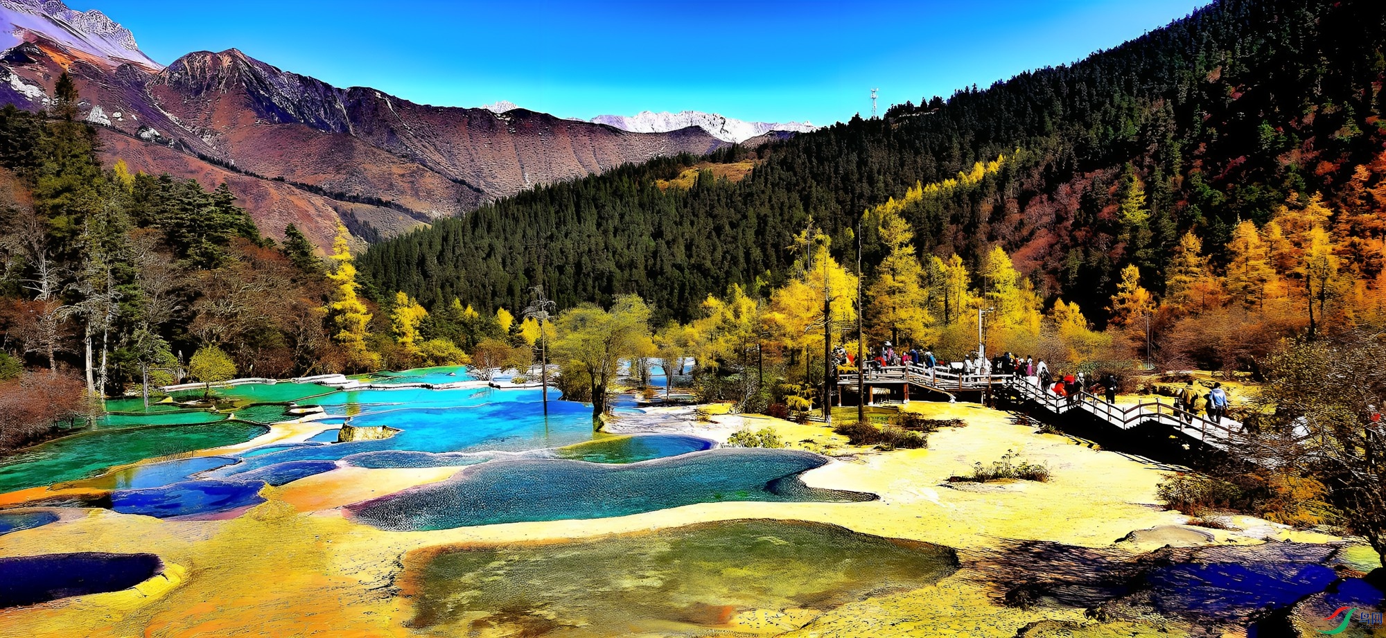 ������ɫ