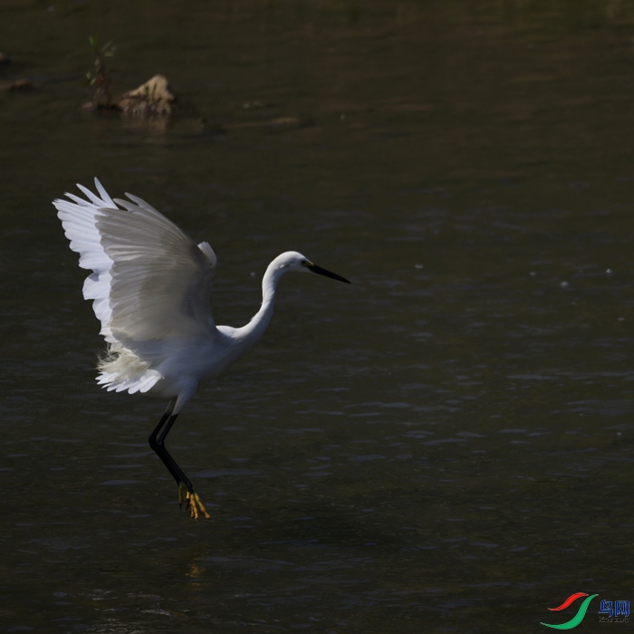 _14A2071-01.jpg
