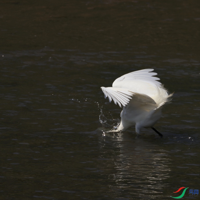 _14A2134-01.jpg