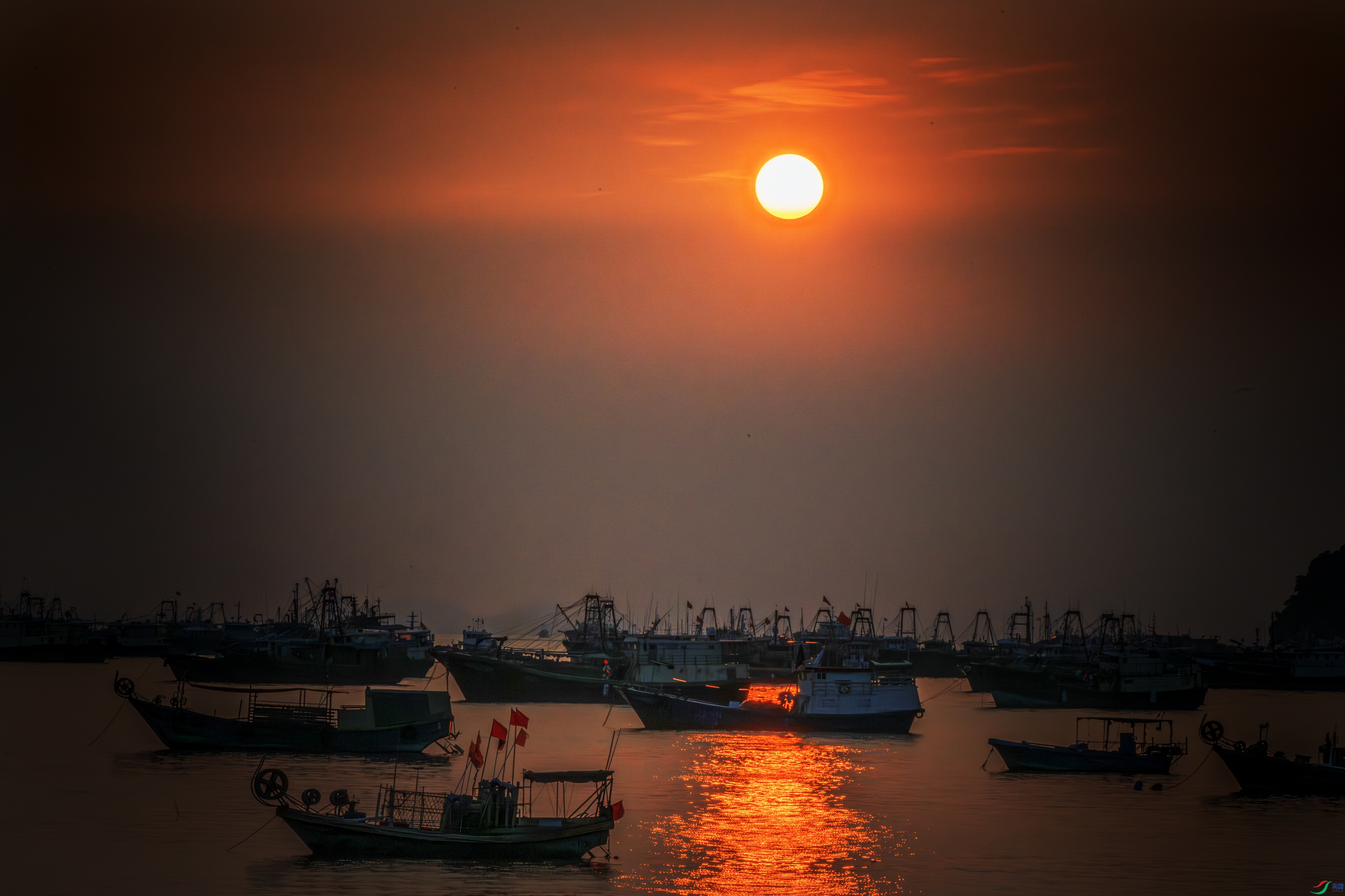 _DSC3798-����ǿ-NR ����1.jpg