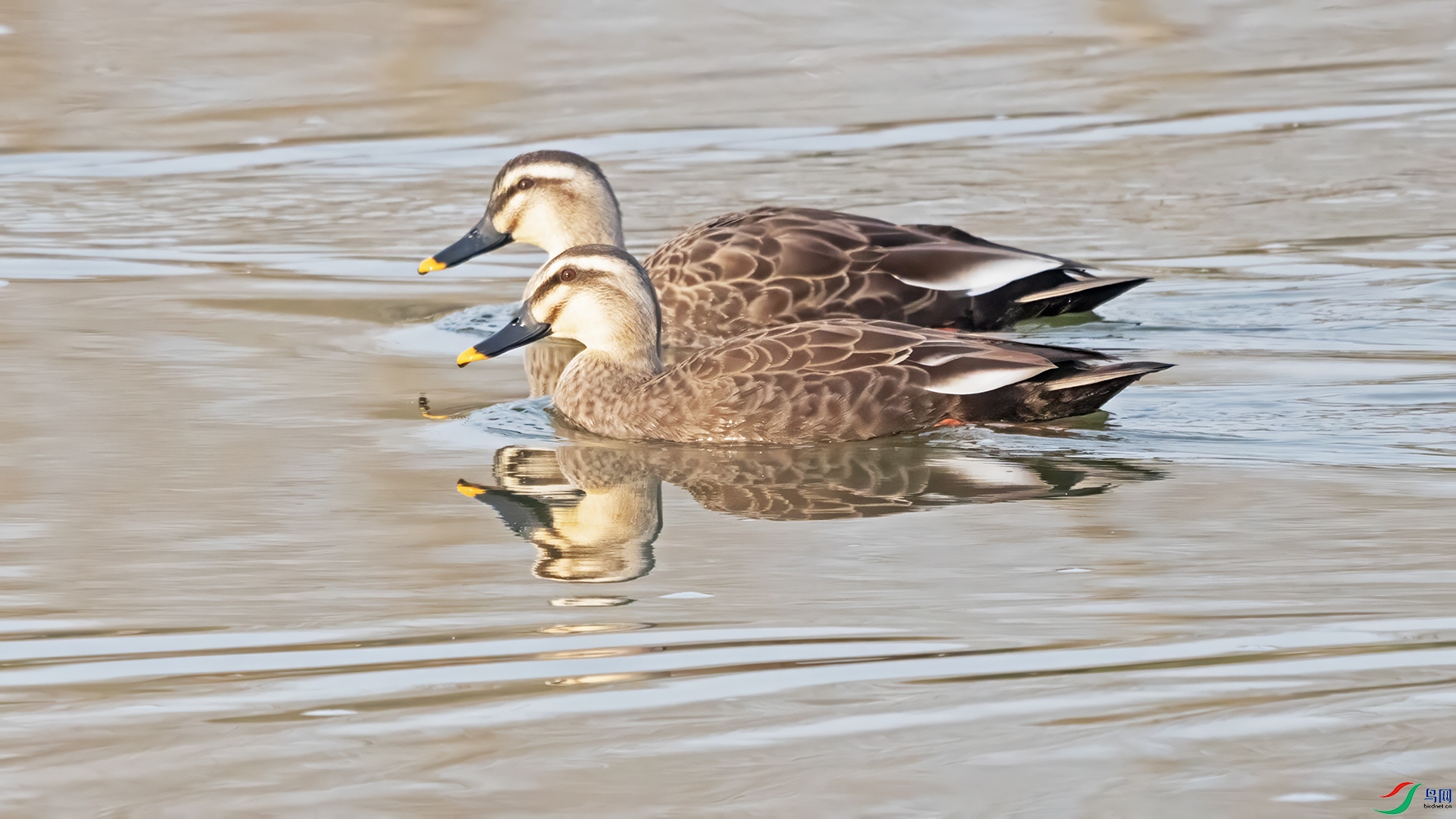 3U2A1281 ���� 2.jpg