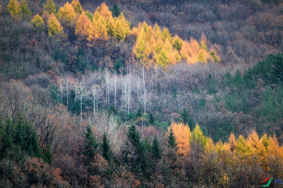 DSC_2459.jpg