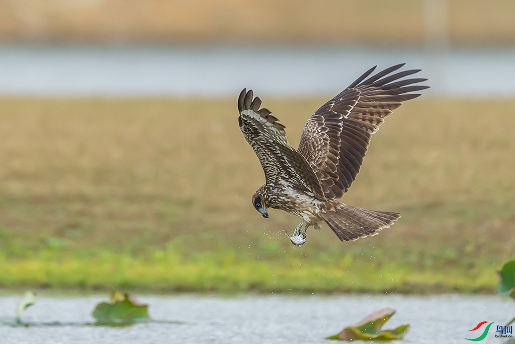 0F7A1959 ����.jpg