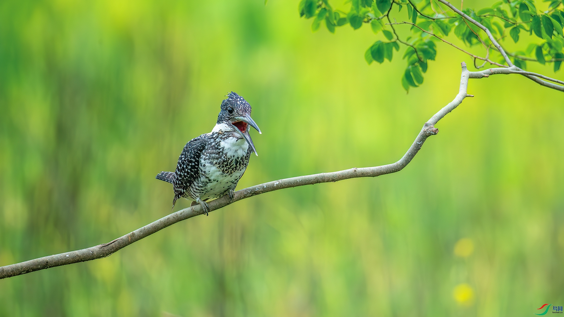 DSC_2414-����ǿ-NR.jpg