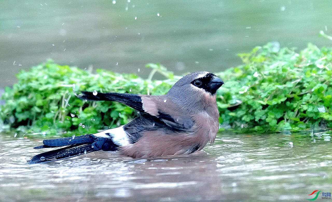 DSC02448.JPG