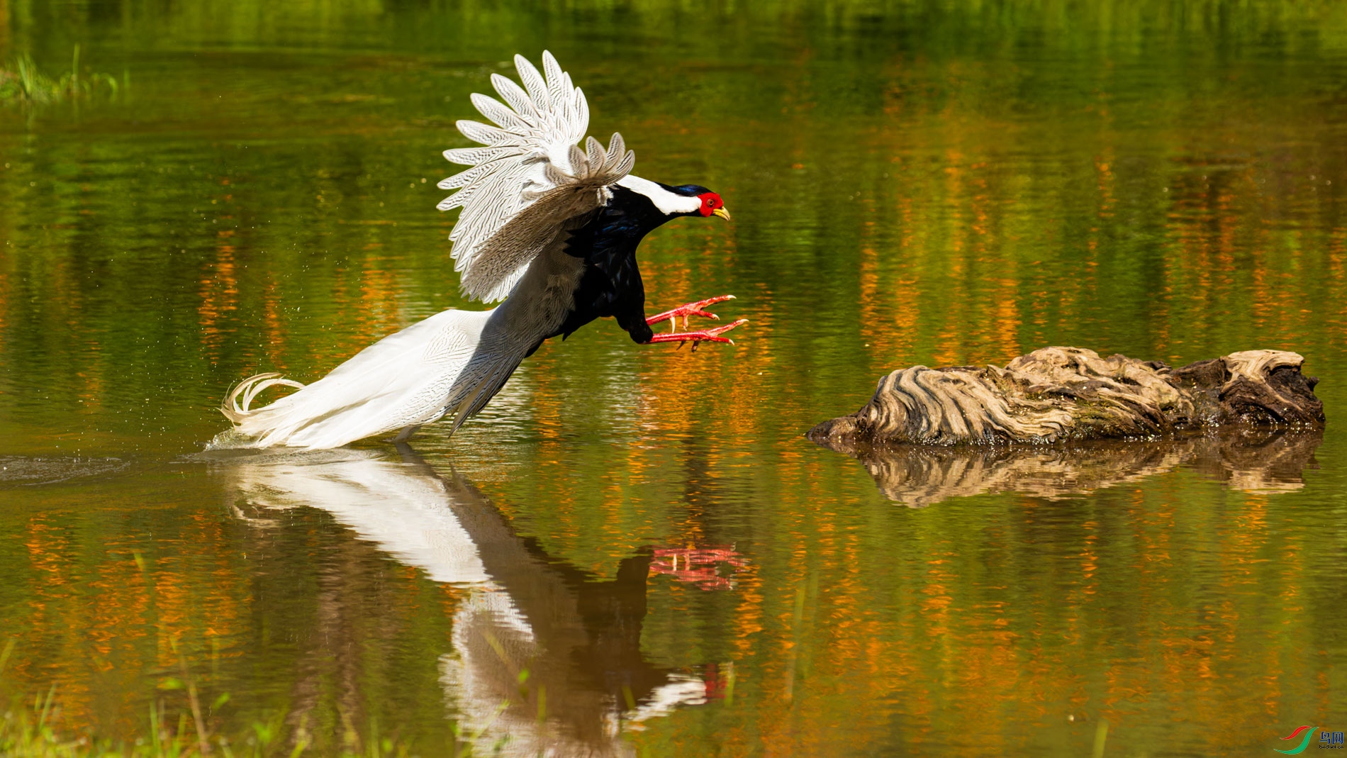 _00A3174-CR2_DxO_DeepPRIMEXD-1.jpg