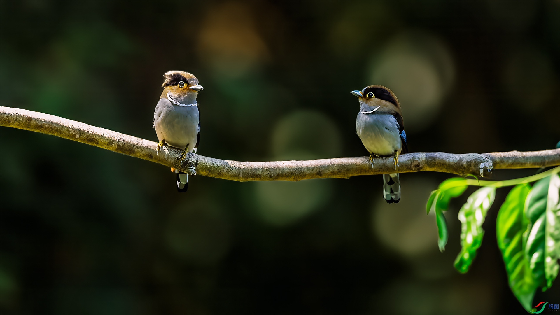 _DSC4536-����ǿ-NR-1 ����.jpg