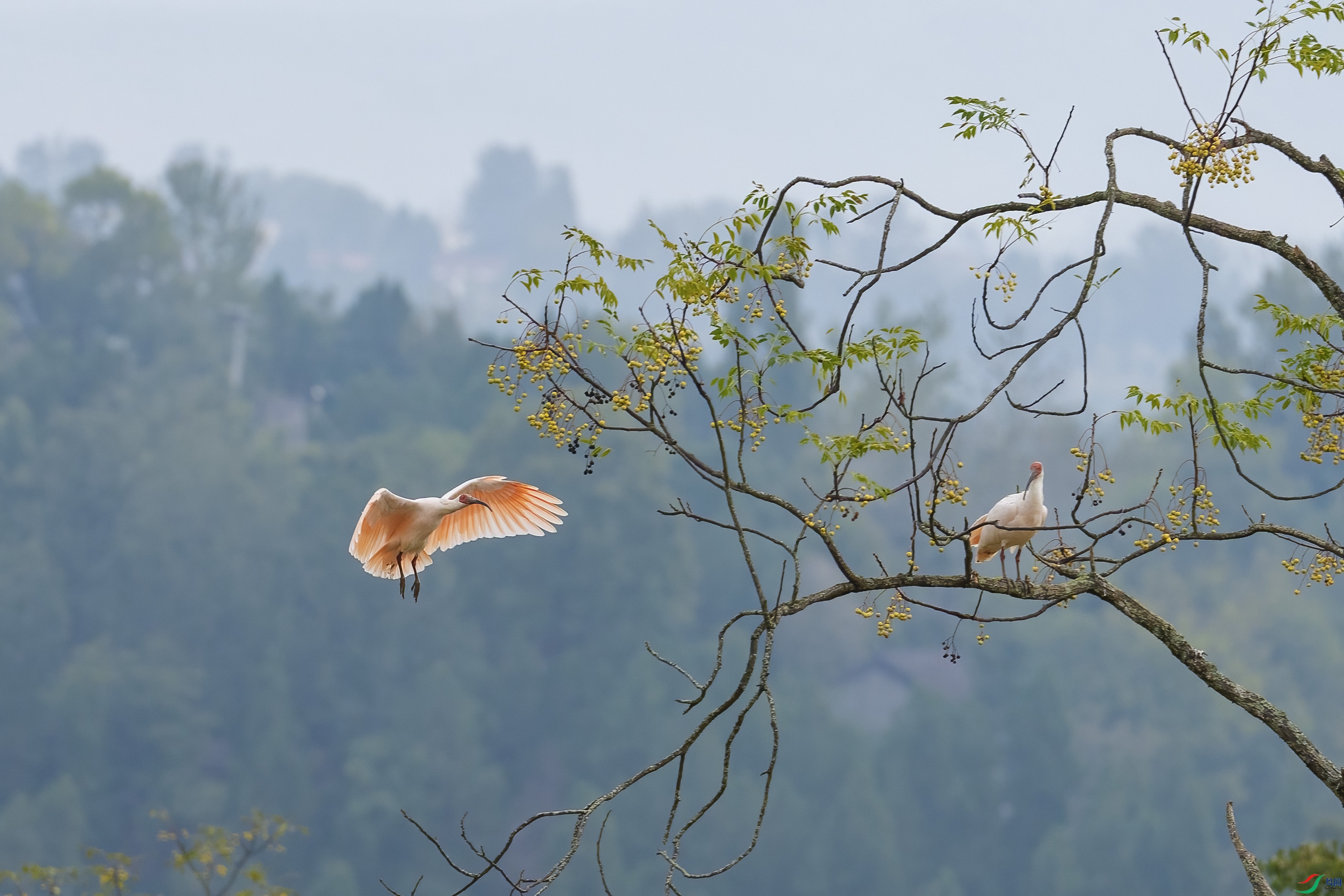 _DSC1721 ����.jpg