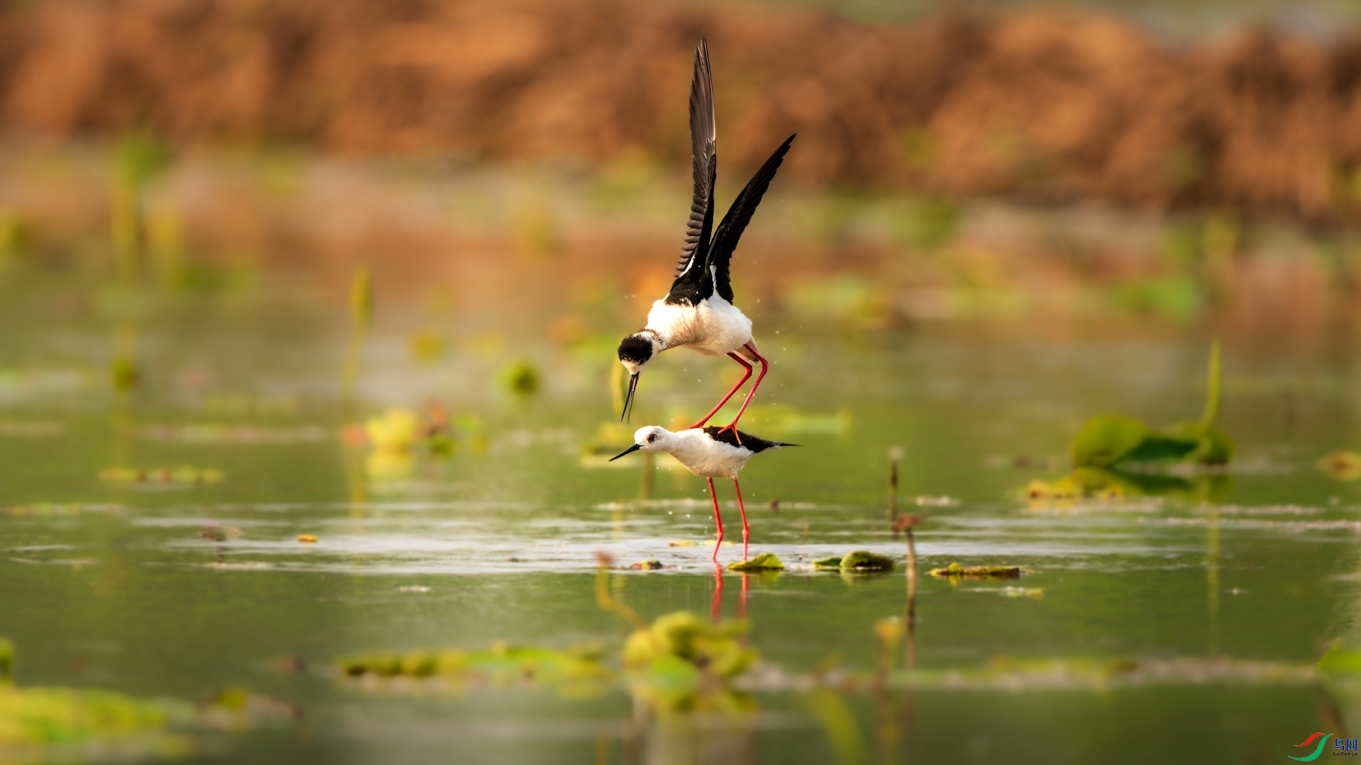 1_XXI3597-����ǿ-NR-1 2.jpeg