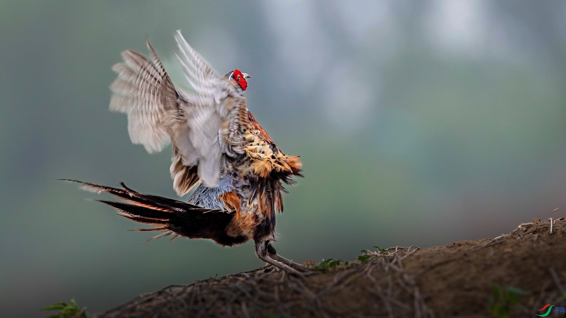 1-10 ����.jpeg