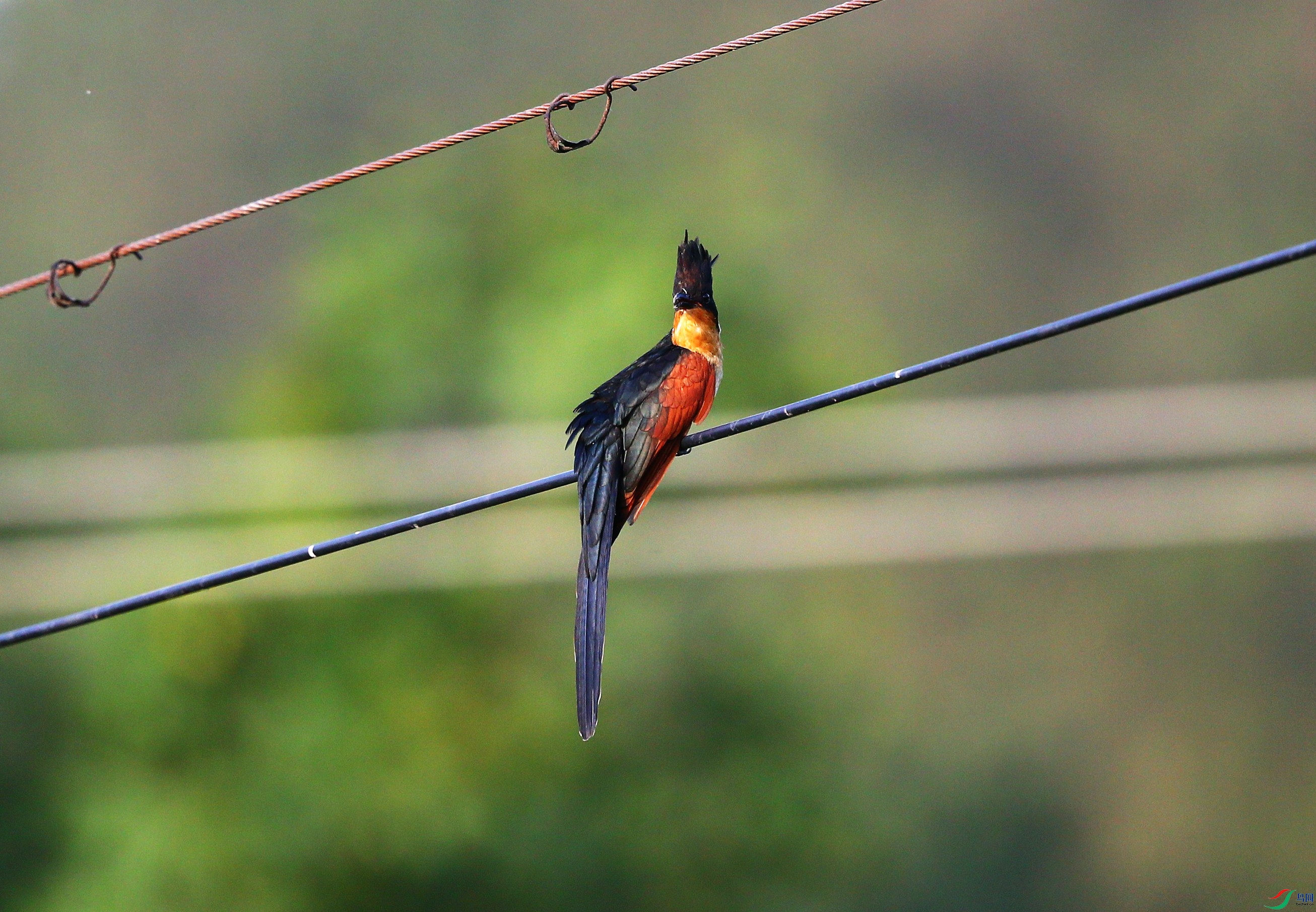 ����ͷ�� (16).JPG