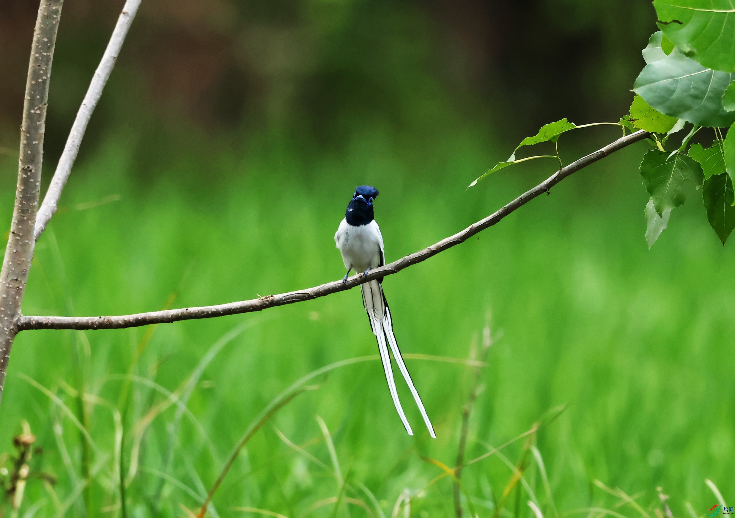 練��� (8).JPG