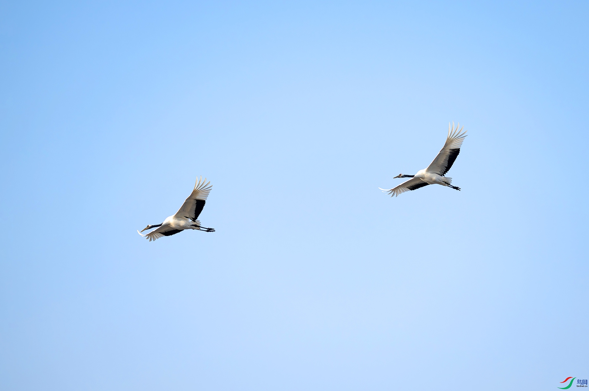 DSC_1153d.jpg