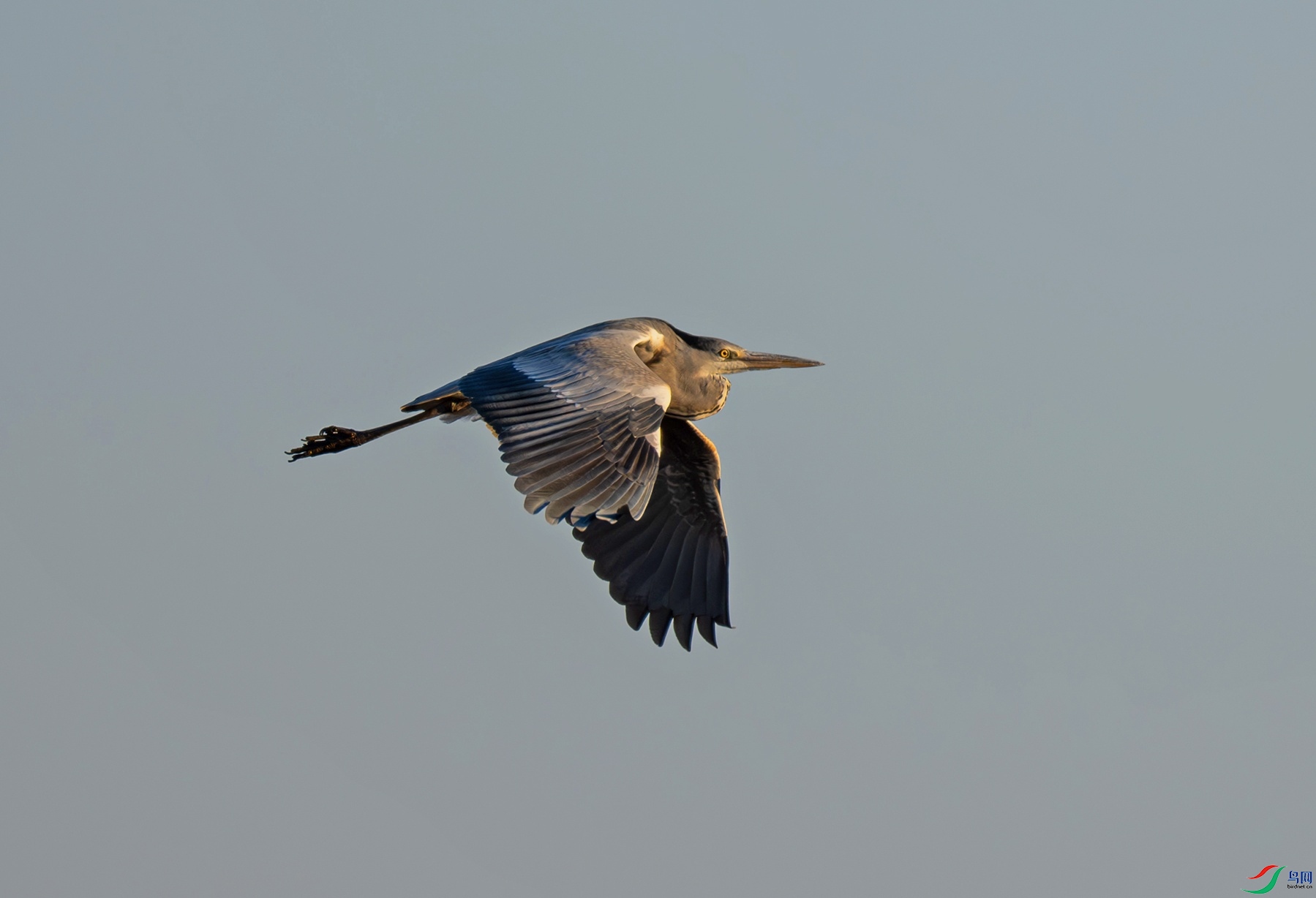 _DSC9172f.jpg