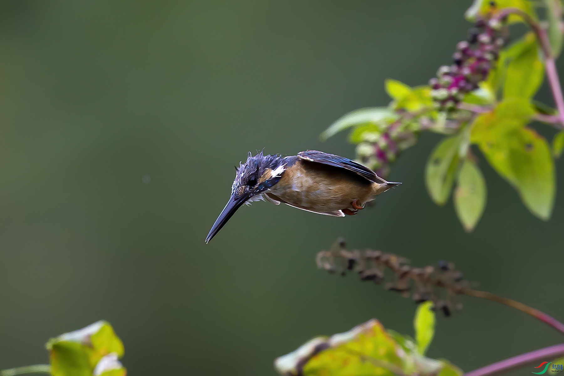 ����2