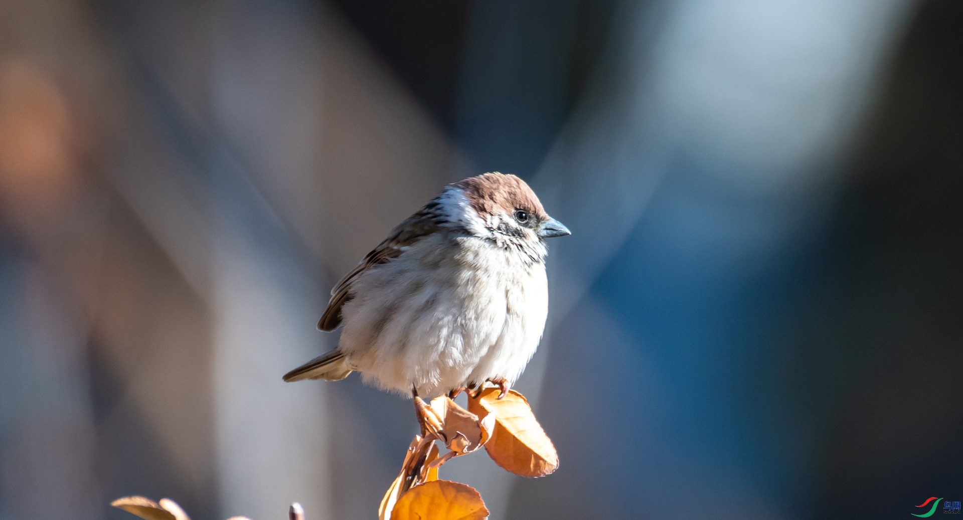 DSC_8171.jpg