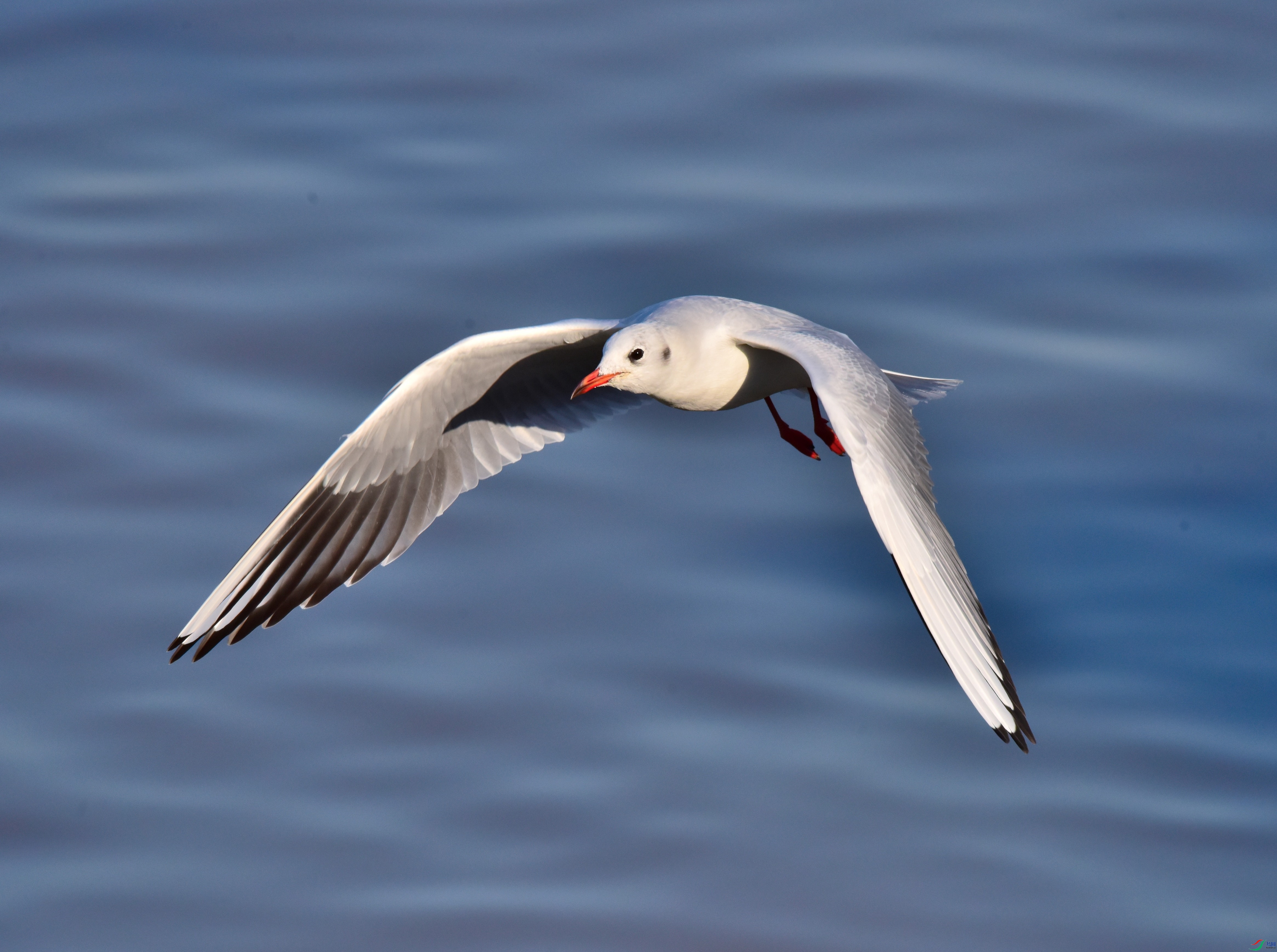 DSC_1664_01.JPG