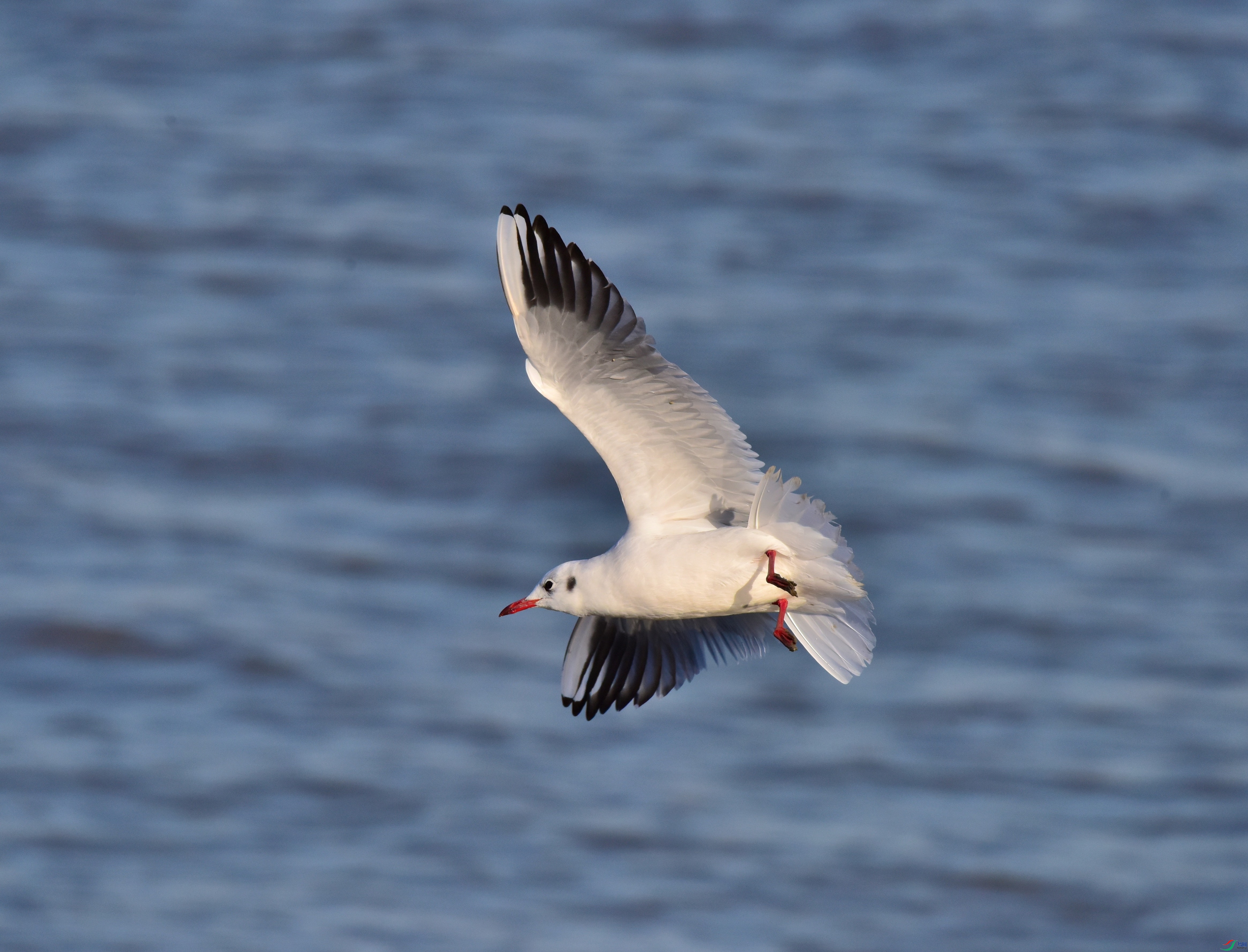 DSC_1670_01.JPG