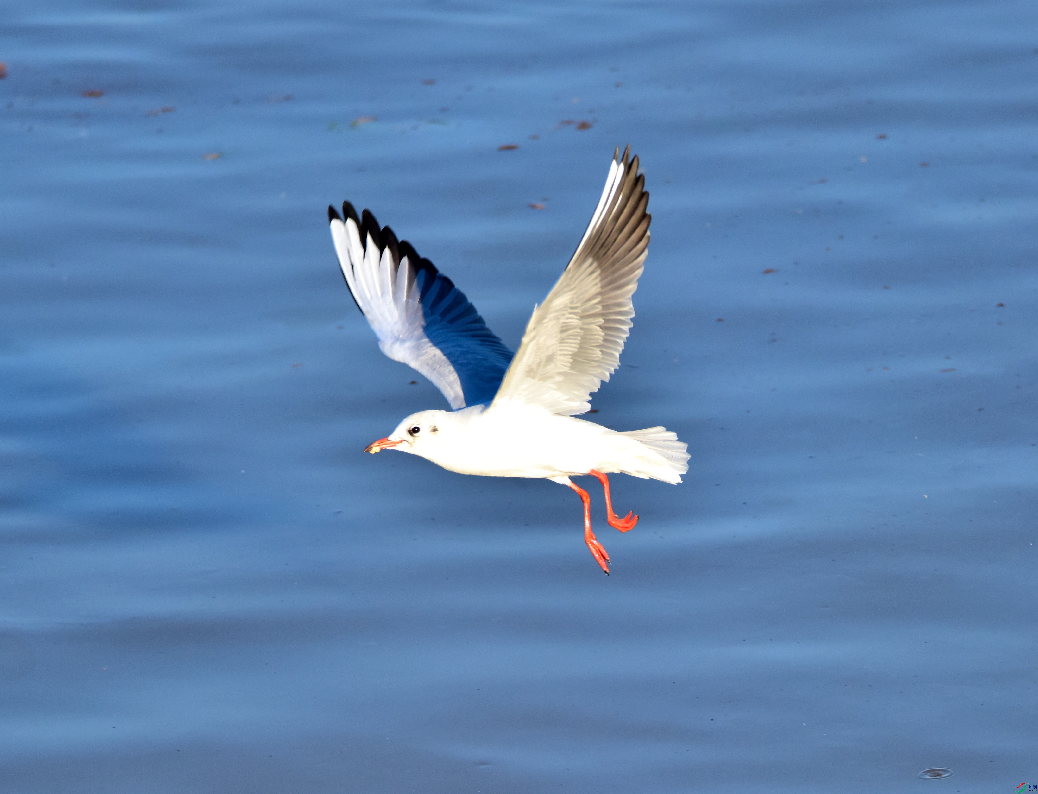 DSC_1844_01.JPG