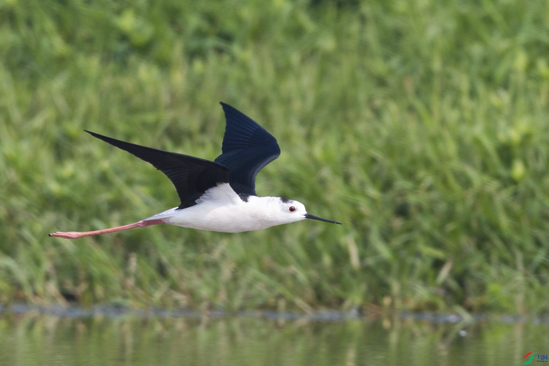 �ڳ᳤����02