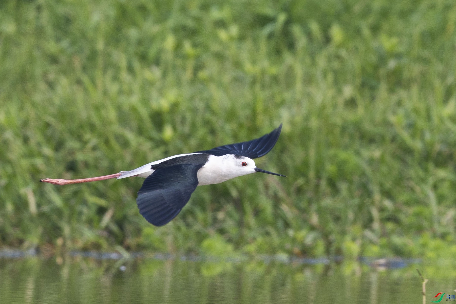 �ڳ᳤����04