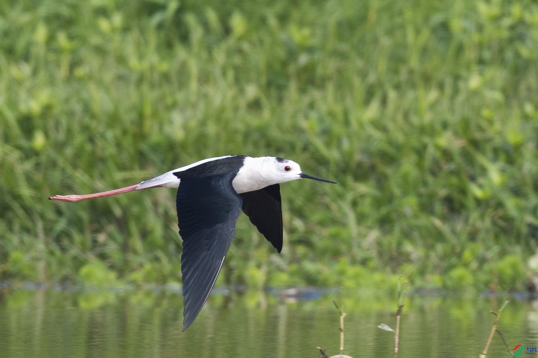 �ڳ᳤����05