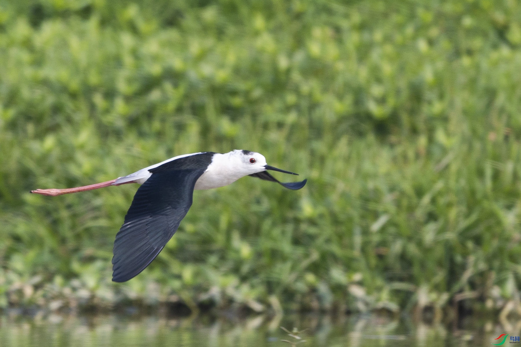 �ڳ᳤����10