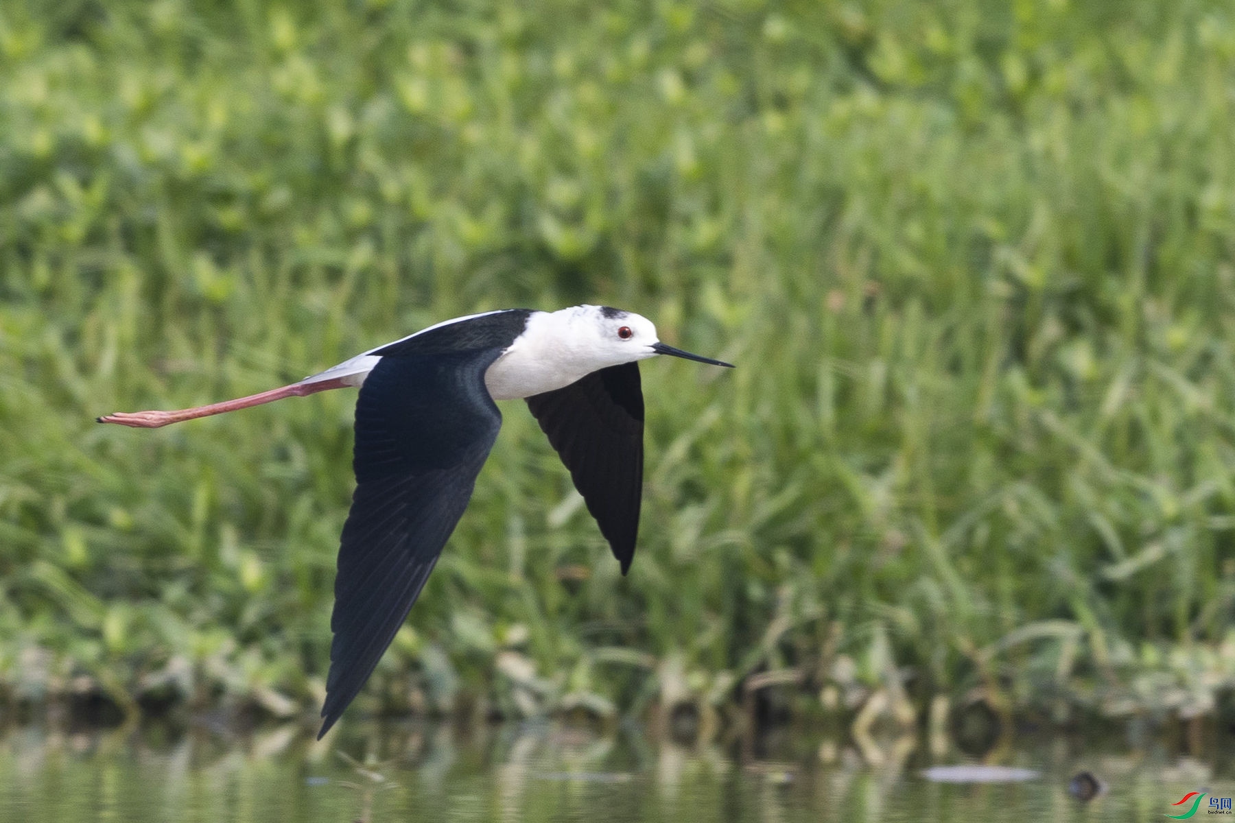 �ڳ᳤����11