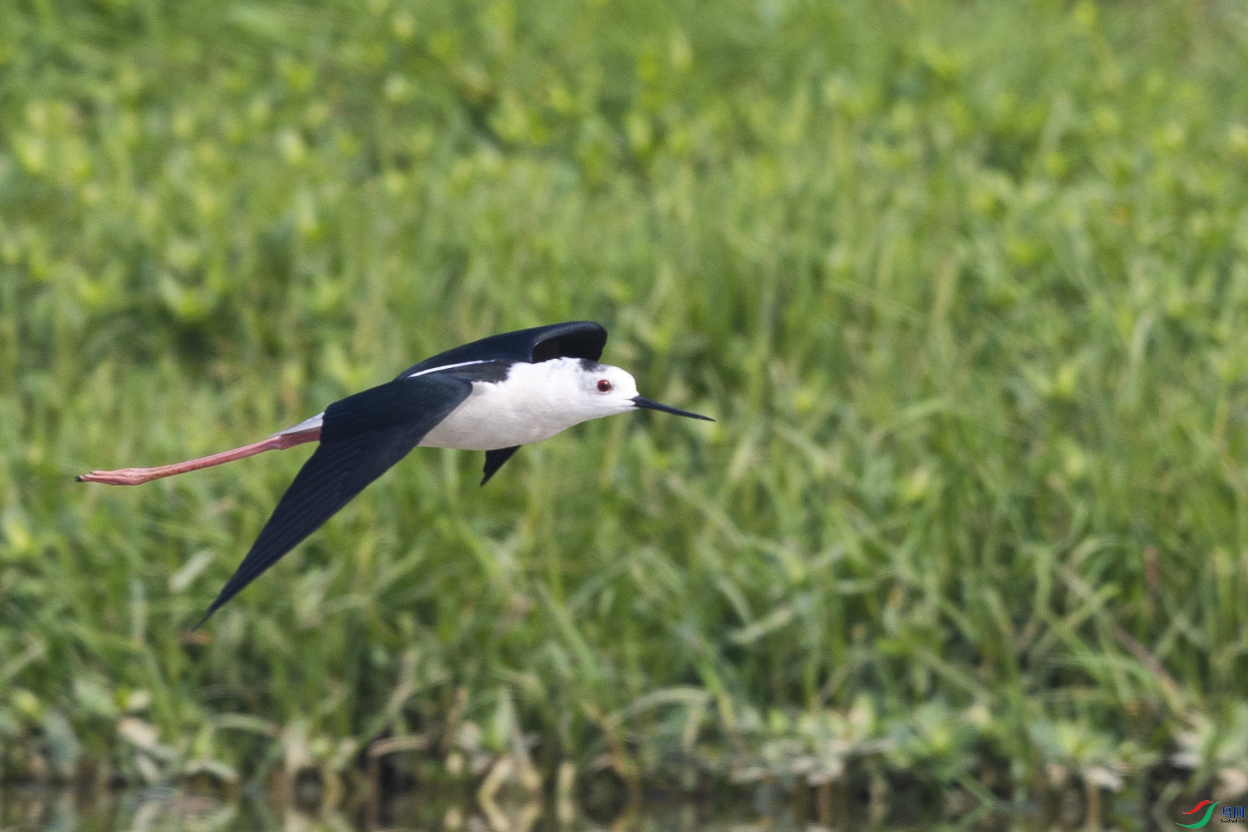 �ڳ᳤����12