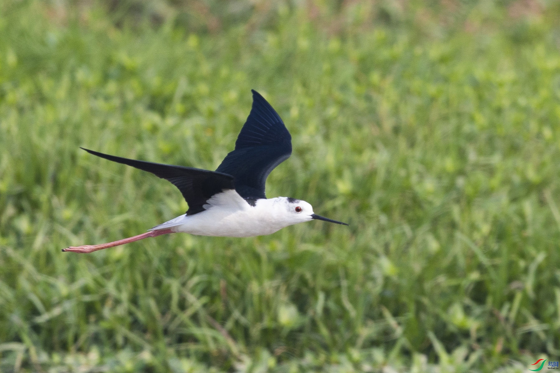 �ڳ᳤����14