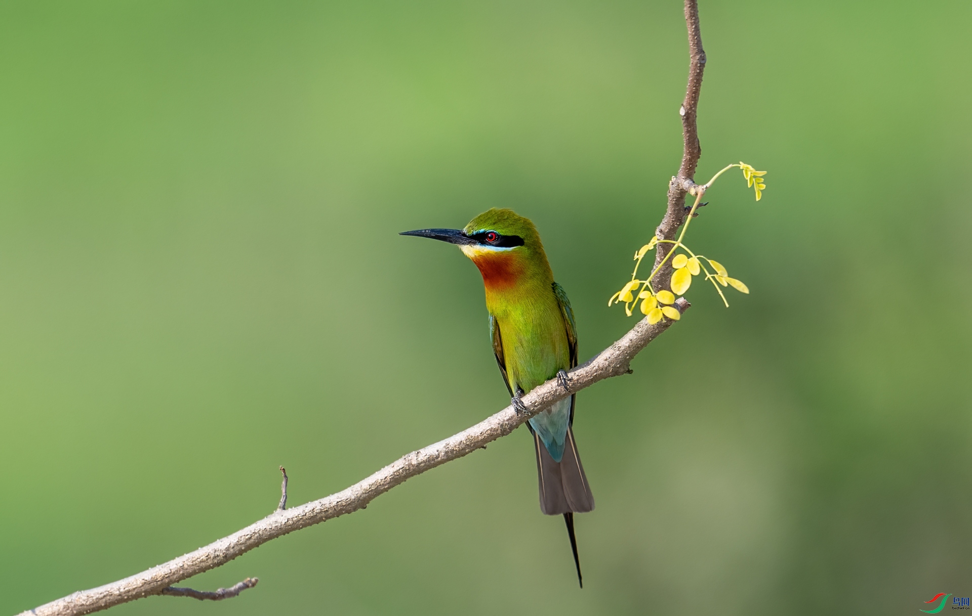 DSC_7362-1.jpg