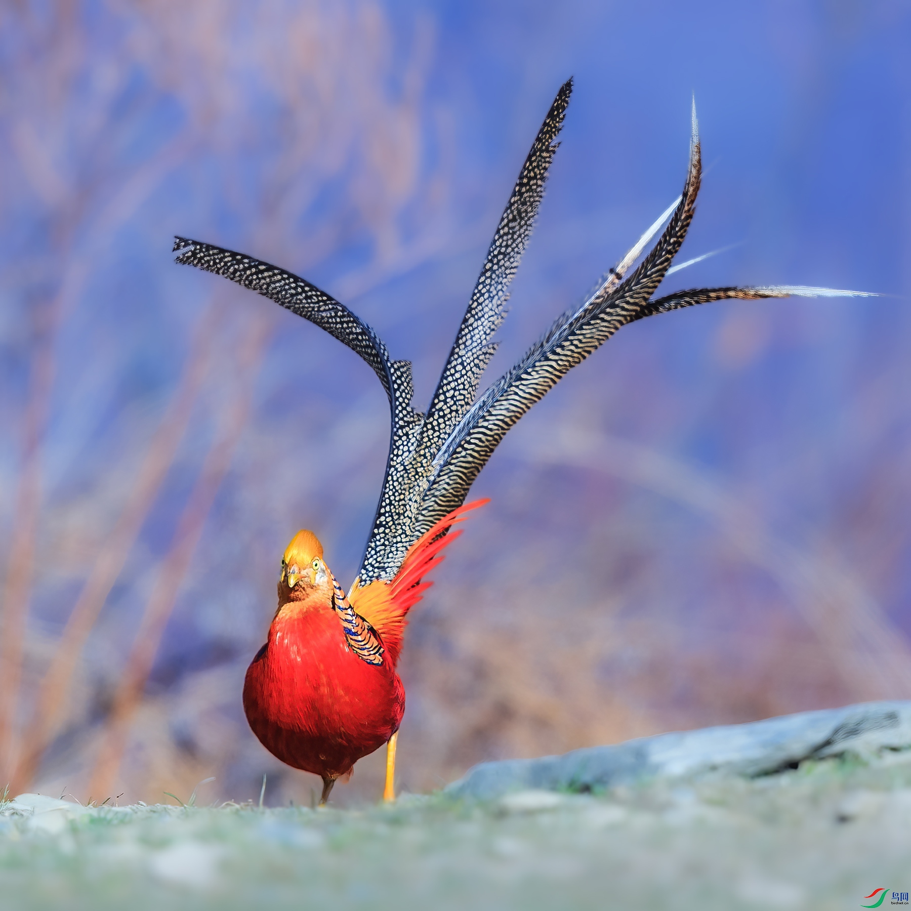 �츹����_J1R6702.jpg
