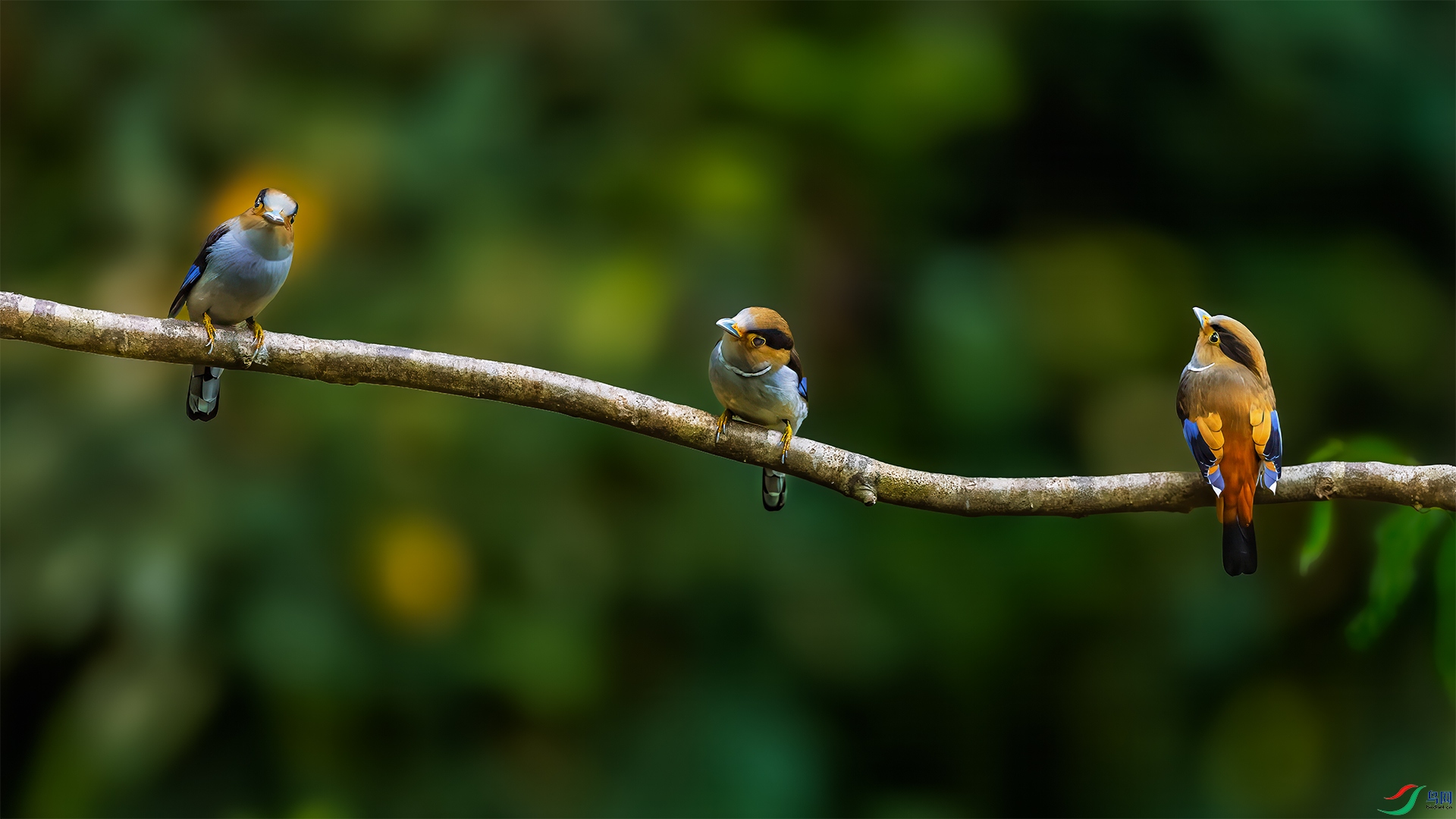 _DSC4296-����ǿ-NR-1 ����.jpg