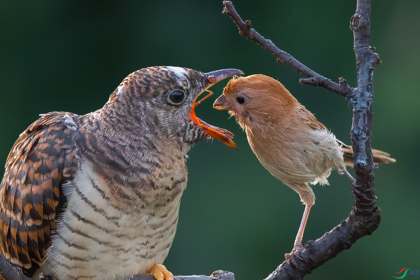 DSC_5440 ����.jpg