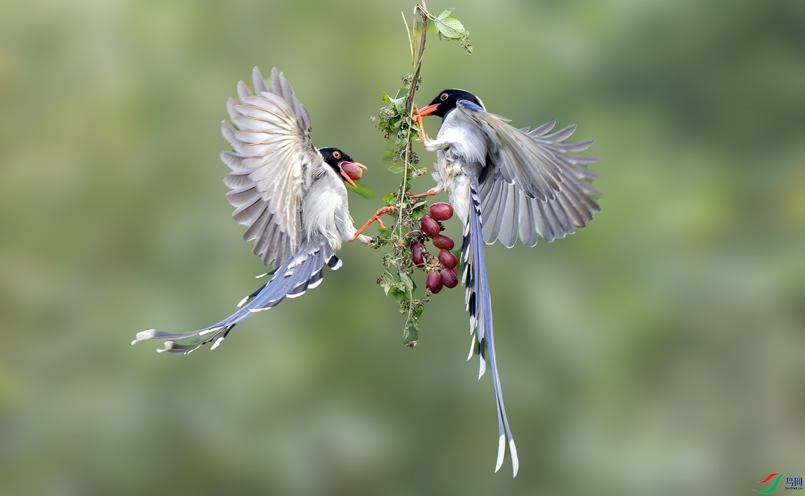LJH_3925-0.jpg